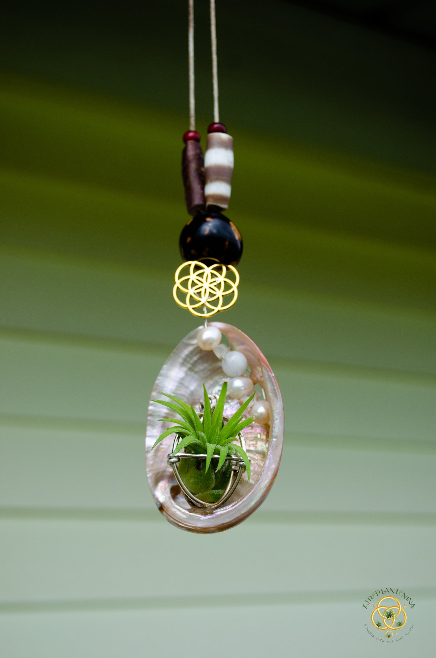 Air Plant Orb Pearl Beaded Abalone Geometric Necklace