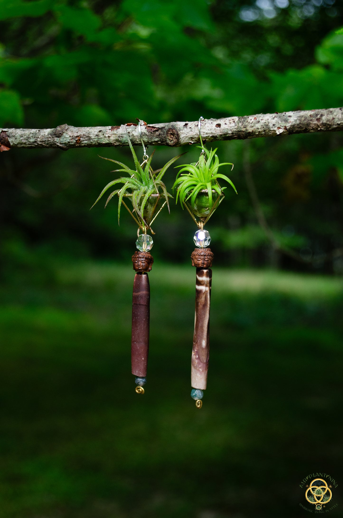 Buddha Air Plant Earrings ~ Diamond Octahedron Earrings