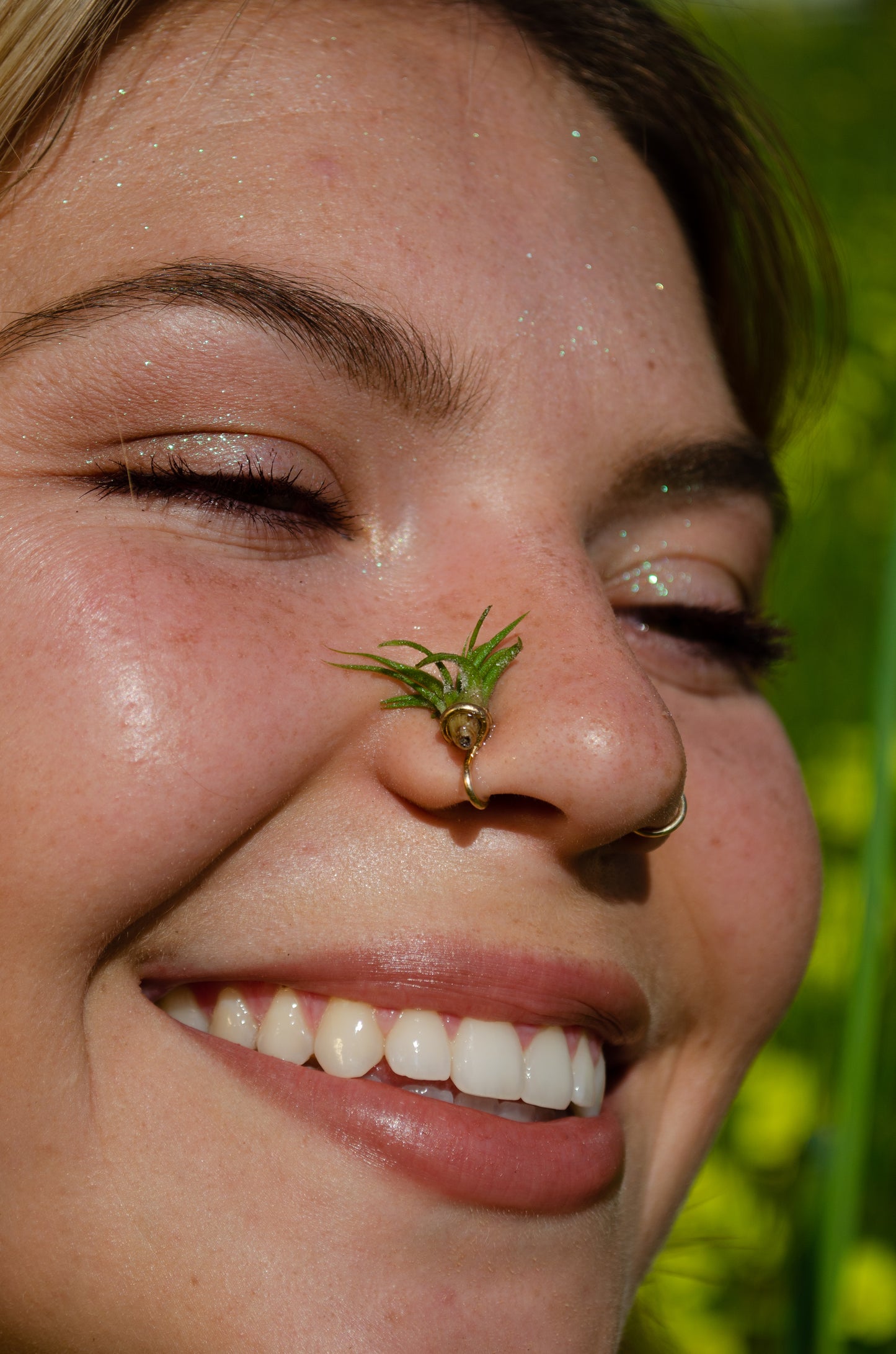 Air Plant Nose Ring Cuff ~ Living Jewelry