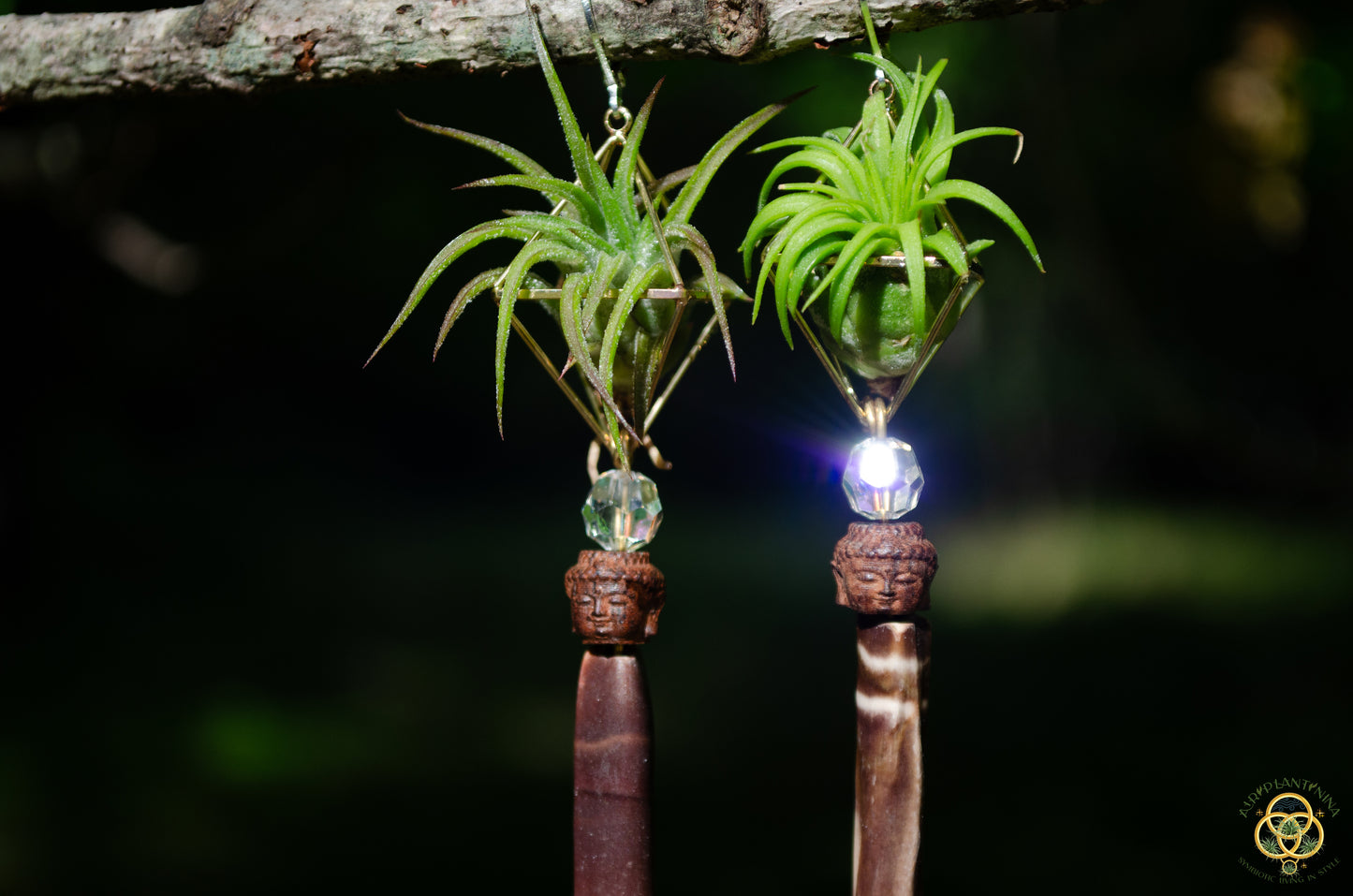Buddha Air Plant Earrings ~ Diamond Octahedron Earrings