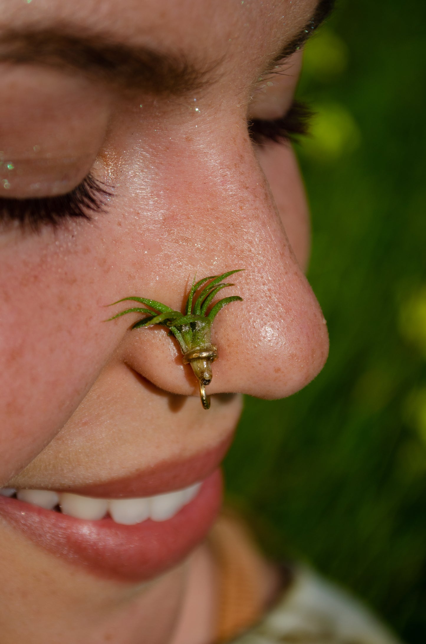 Air Plant Nose Ring Cuff ~ Living Jewelry