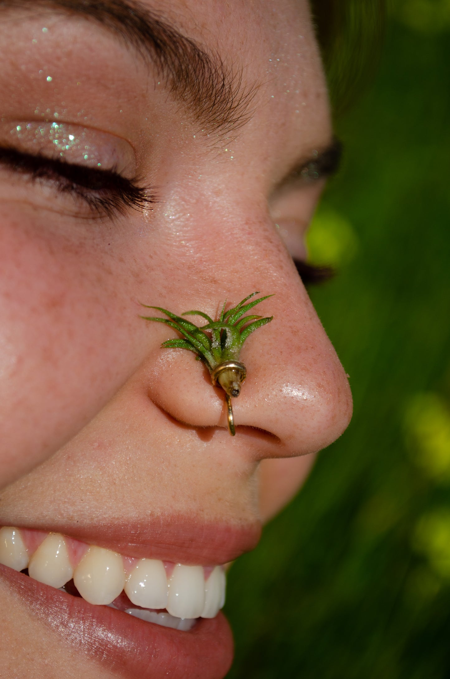 Air Plant Nose Ring Cuff ~ Living Jewelry