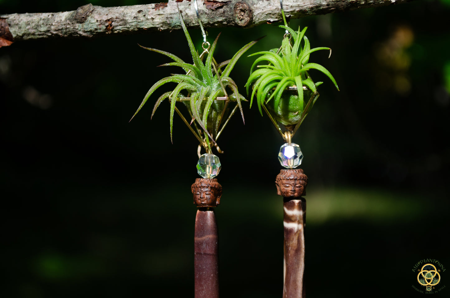 Buddha Air Plant Earrings ~ Diamond Octahedron Earrings