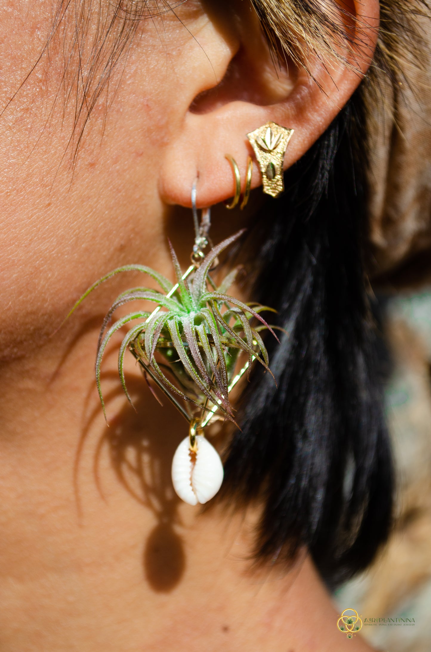 Cowrie Shell Air Plant Earrings ~ Mini Diamond Octahedron Earrings