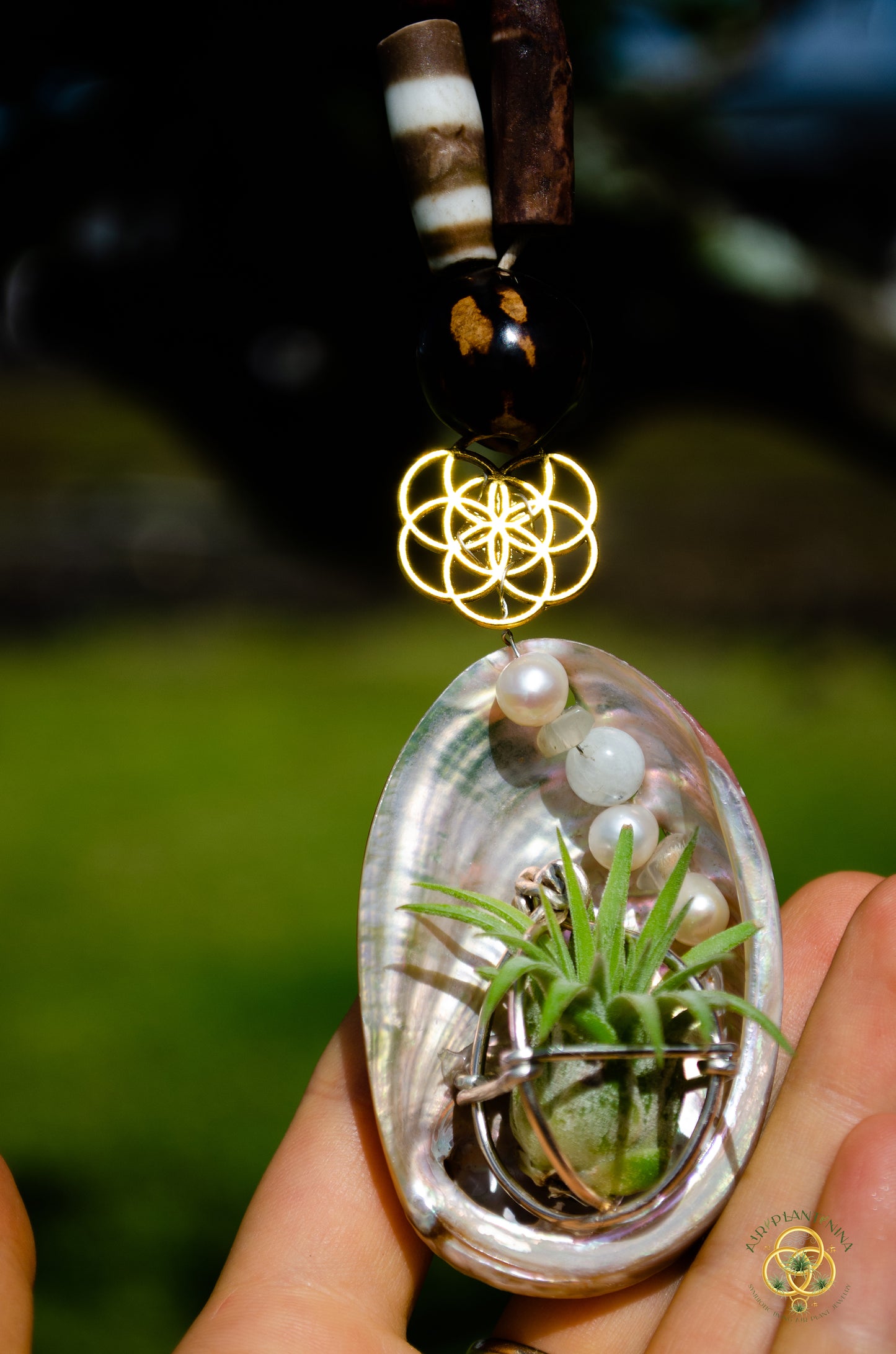 Air Plant Orb Pearl Beaded Abalone Geometric Necklace