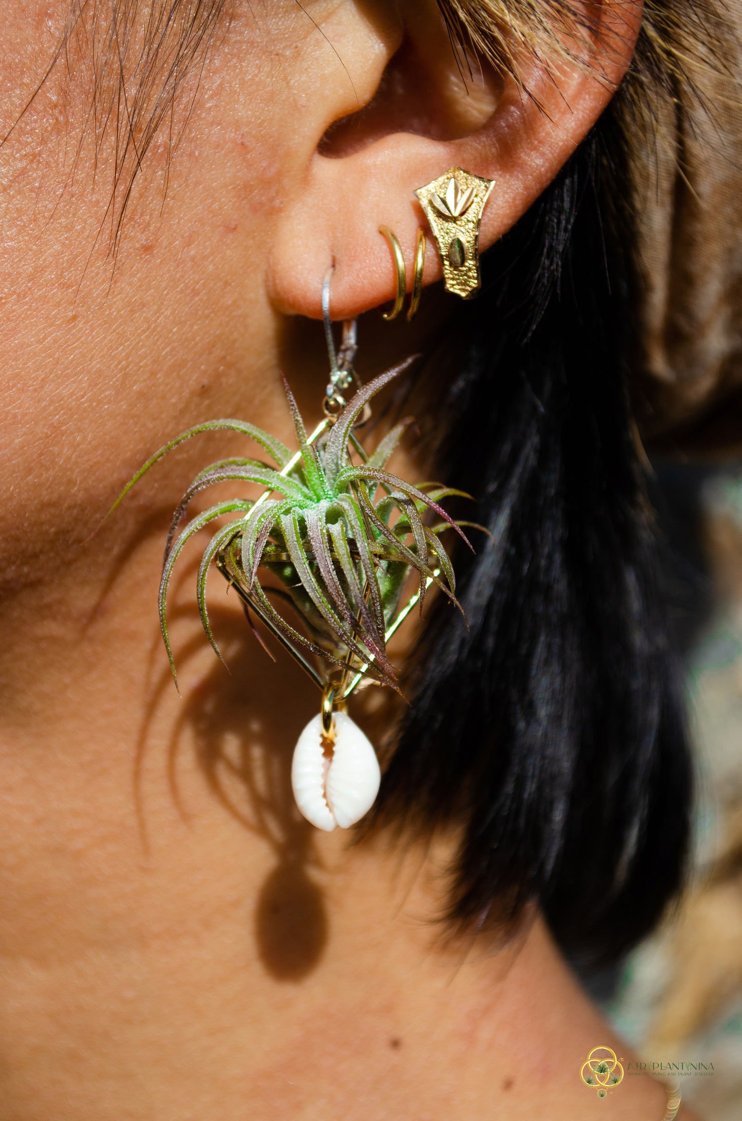 Cowrie Shell Air Plant Earrings ~ Mini Diamond Octahedron Earrings