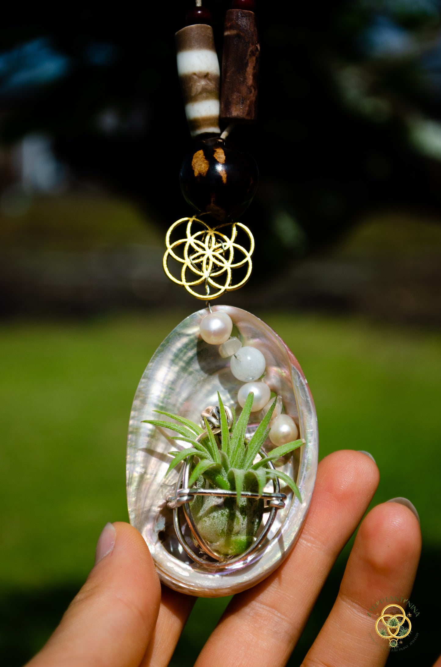 Air Plant Orb Pearl Beaded Abalone Geometric Necklace