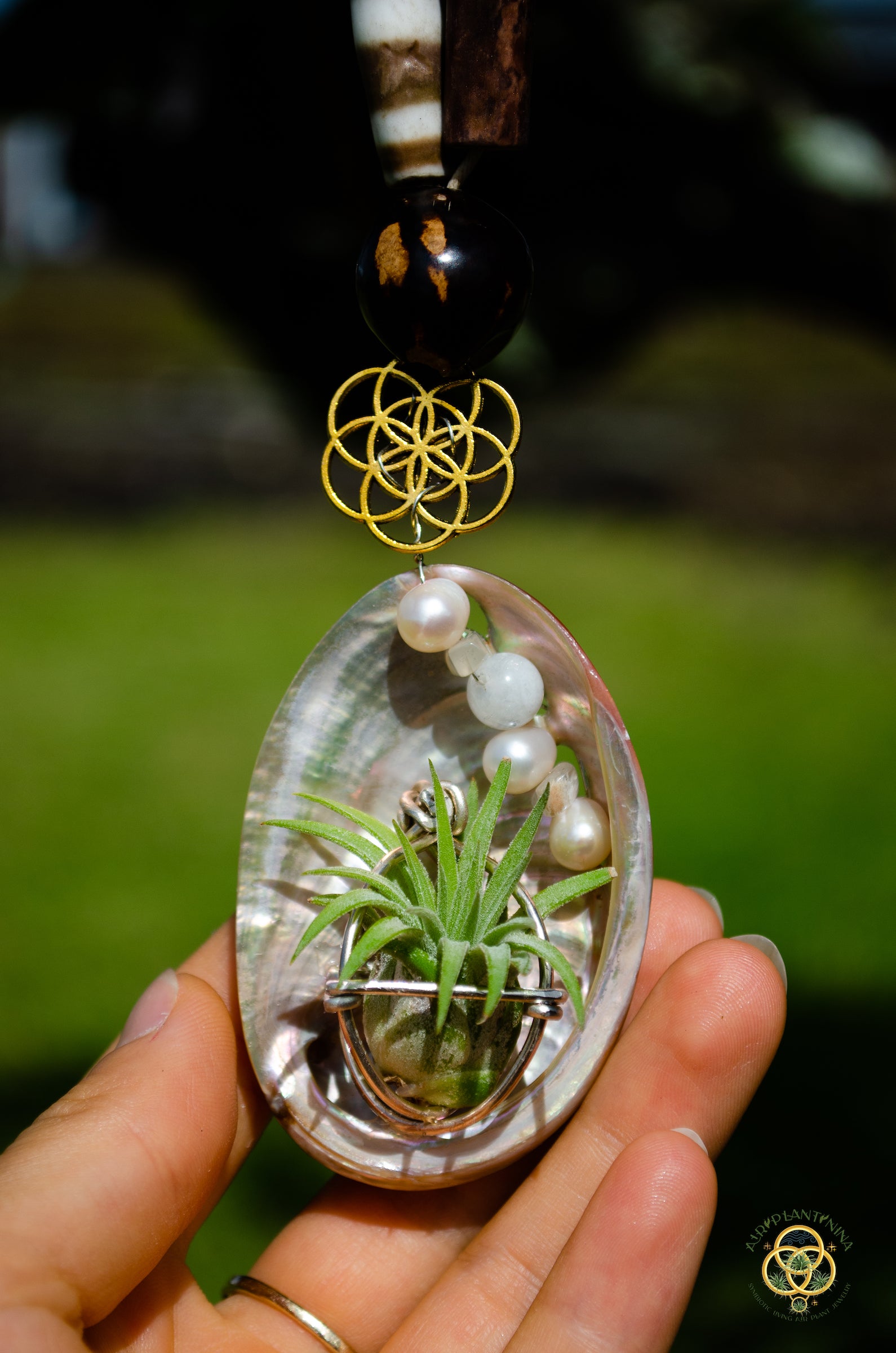 Air Plant Orb Pearl Beaded Abalone Geometric Necklace