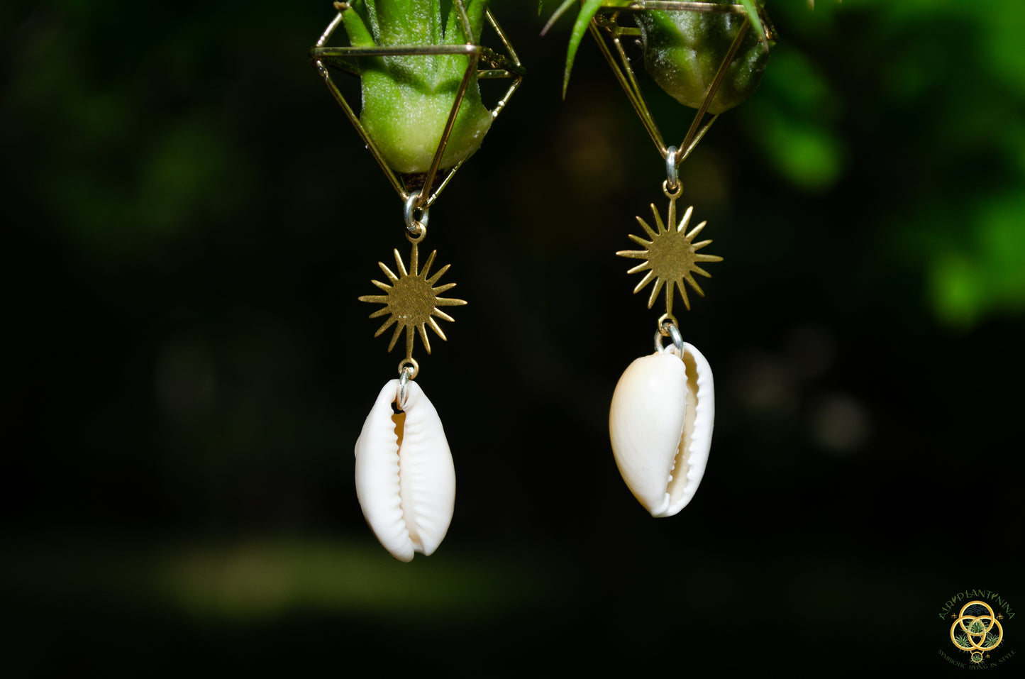 Cowrie Shell Air Plant Earrings ~ Mini Diamond Octahedron Earrings