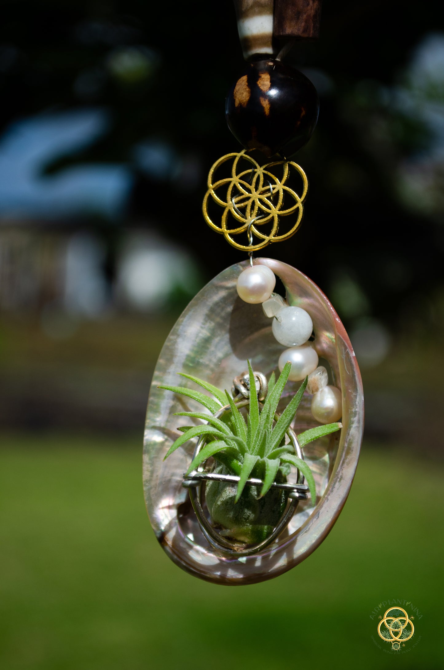 Air Plant Orb Pearl Beaded Abalone Geometric Necklace