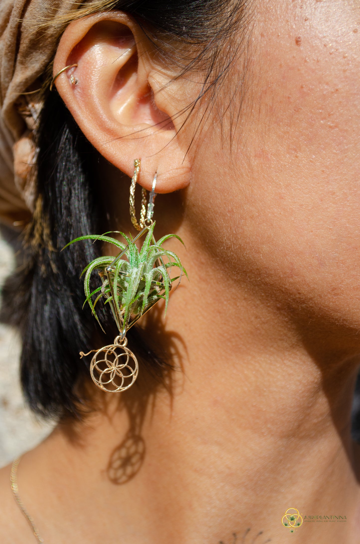 Minimalist Flower of Life Crystal Pearl Air Plant Earrings ~ Diamond Octahedron Earrings