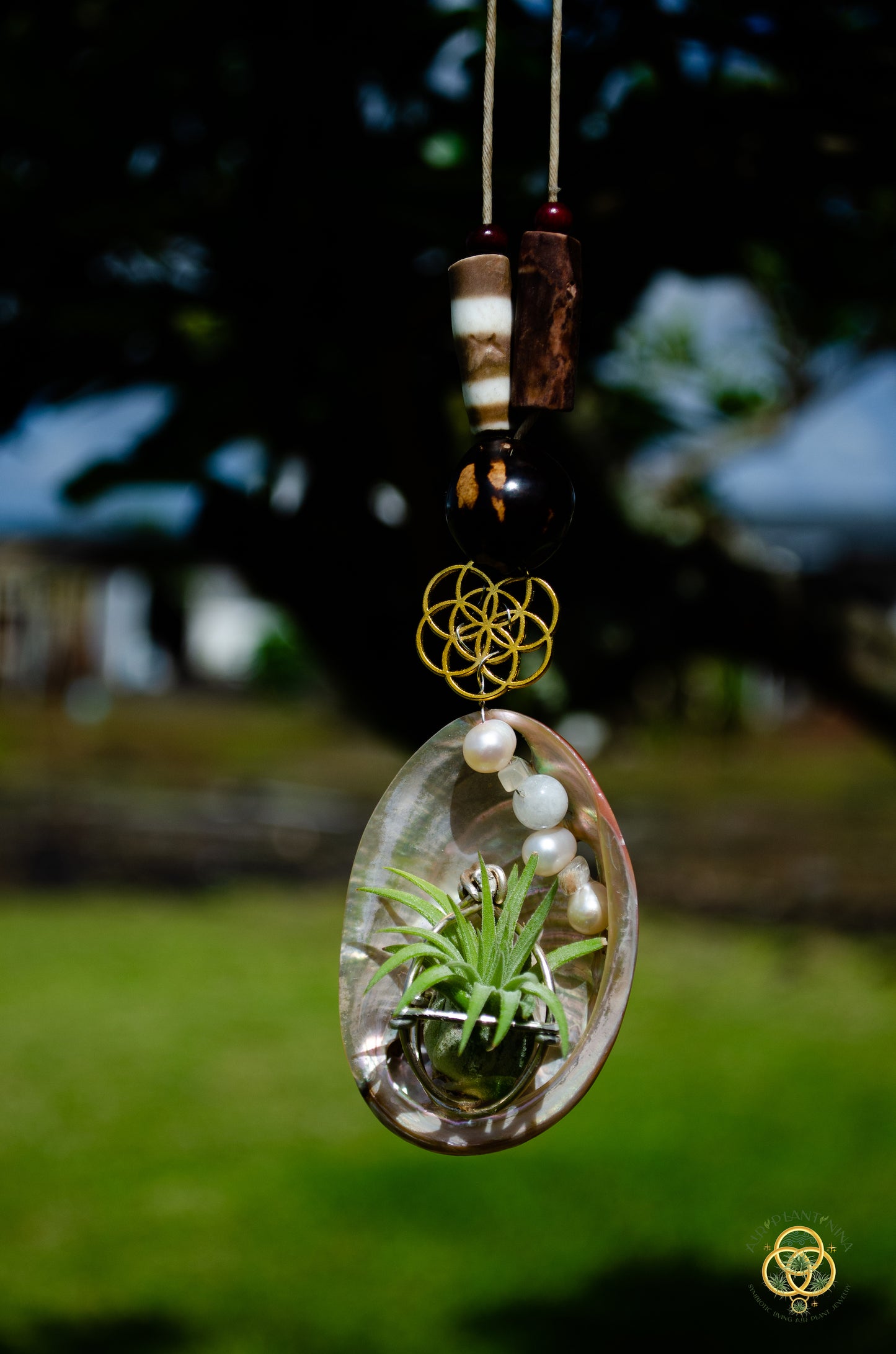 Air Plant Orb Pearl Beaded Abalone Geometric Necklace