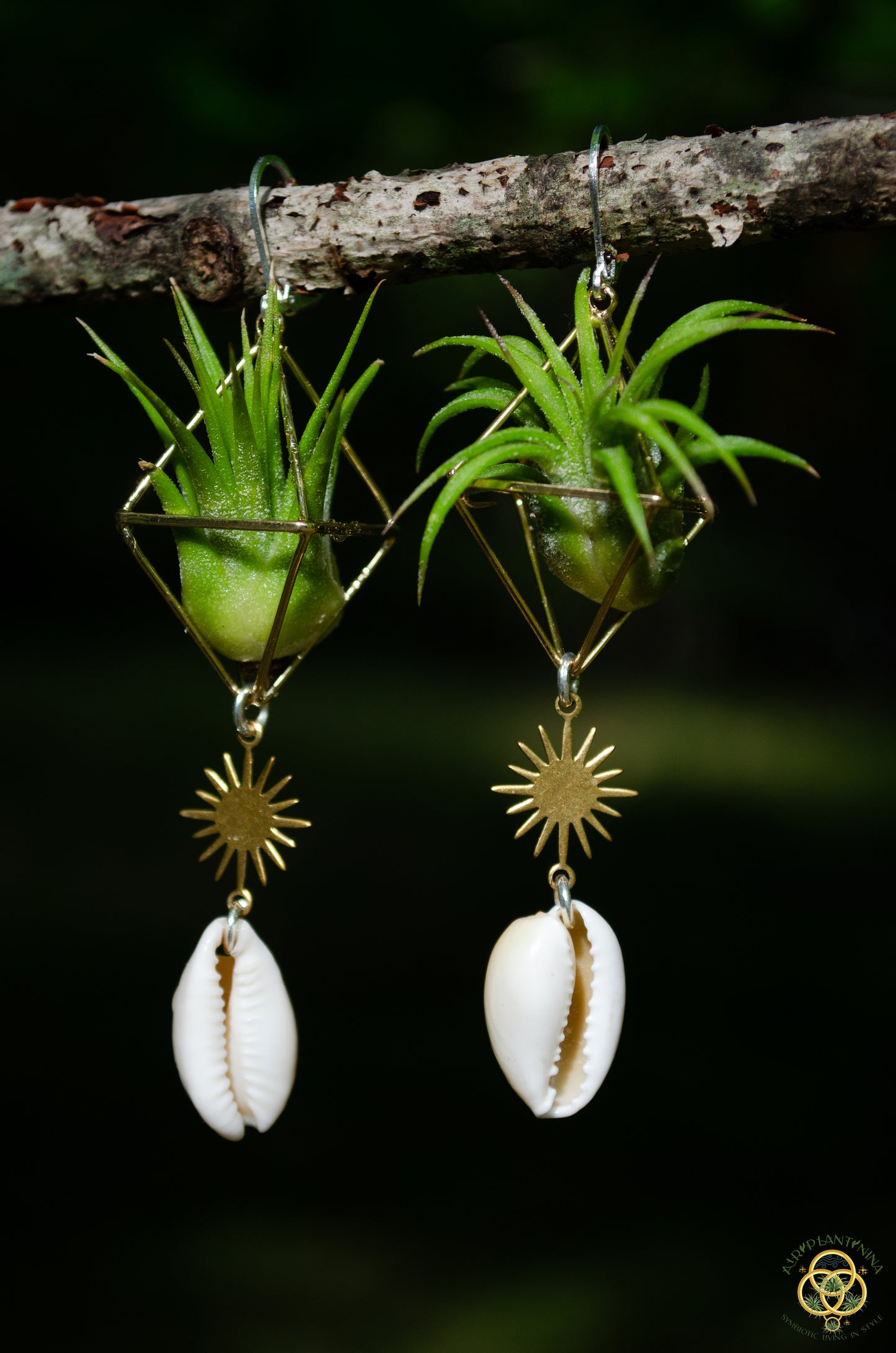 Sun Feather Crystal Air Plant Earrings ~ Diamond Octahedron Earrings