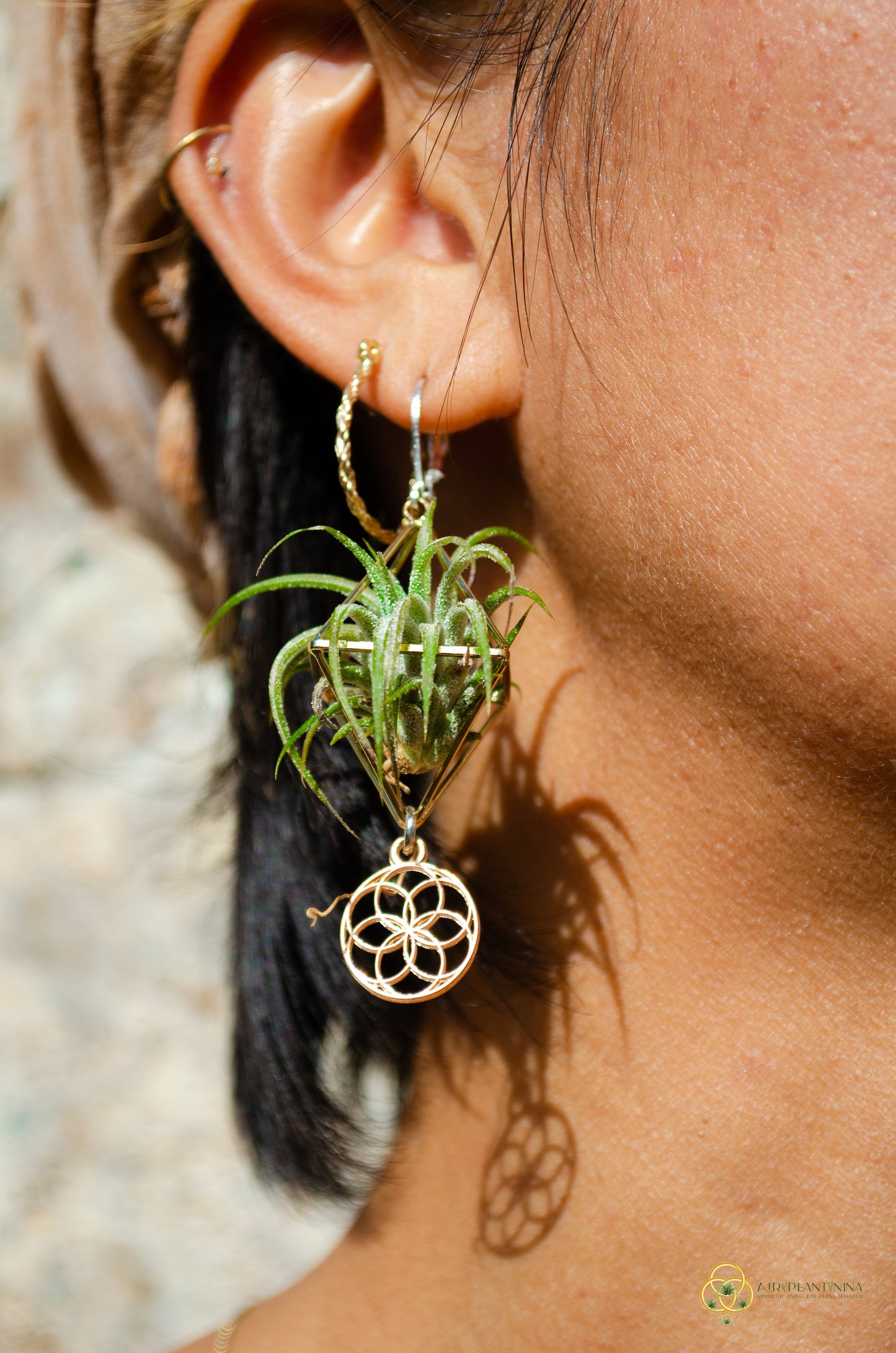 Minimalist Flower of Life Crystal Pearl Air Plant Earrings ~ Diamond Octahedron Earrings