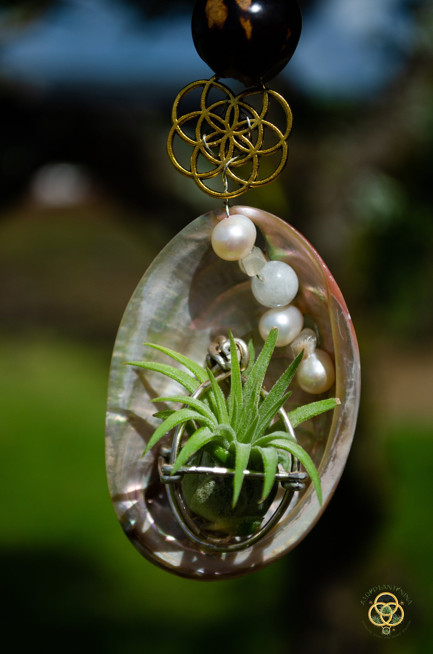 Air Plant Orb Pearl Beaded Abalone Geometric Necklace