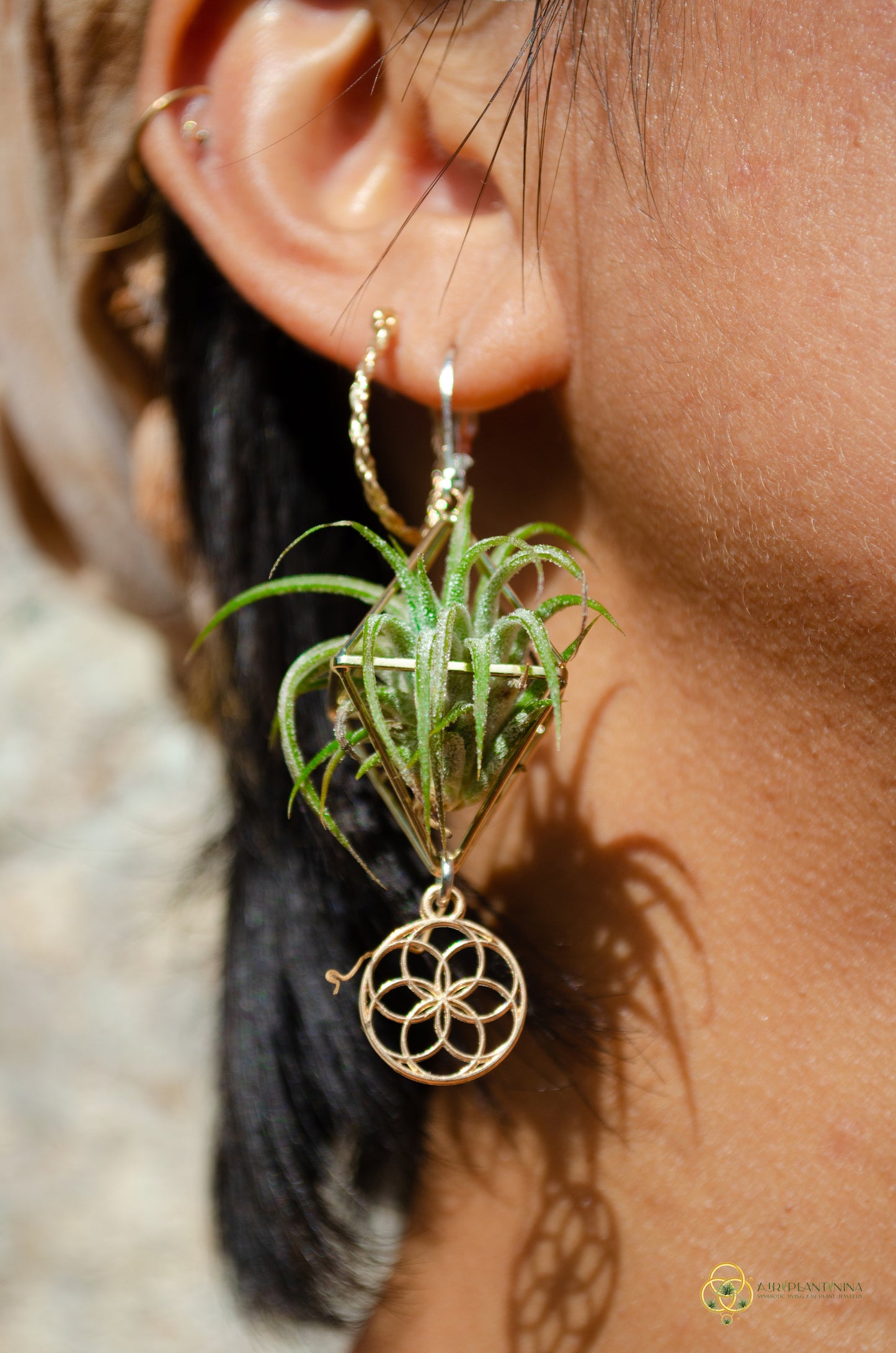Minimalist Flower of Life Crystal Pearl Air Plant Earrings ~ Diamond Octahedron Earrings