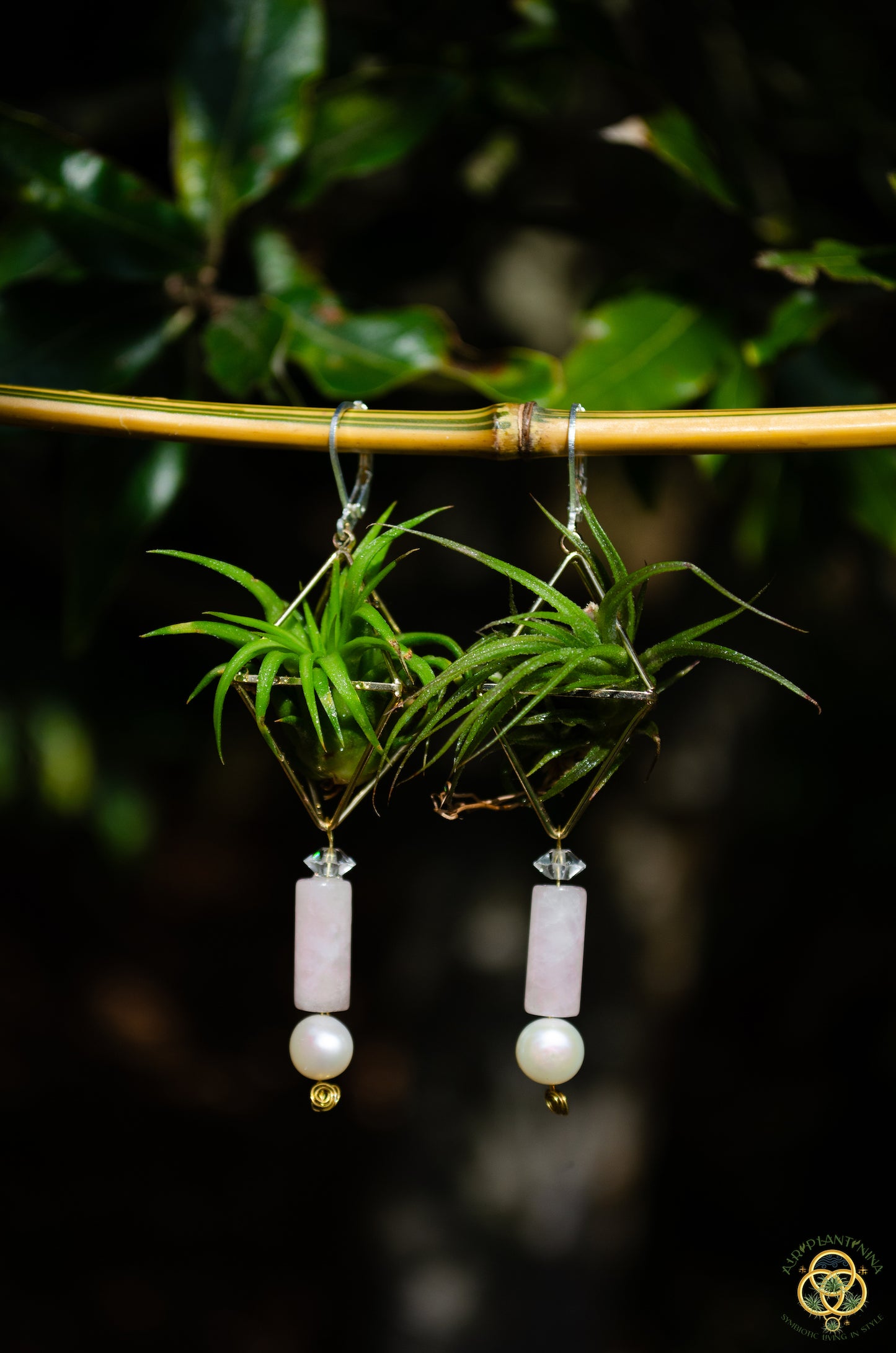 Rose Quartz Air Plant Earrings ~ Diamond Octahedron Earrings
