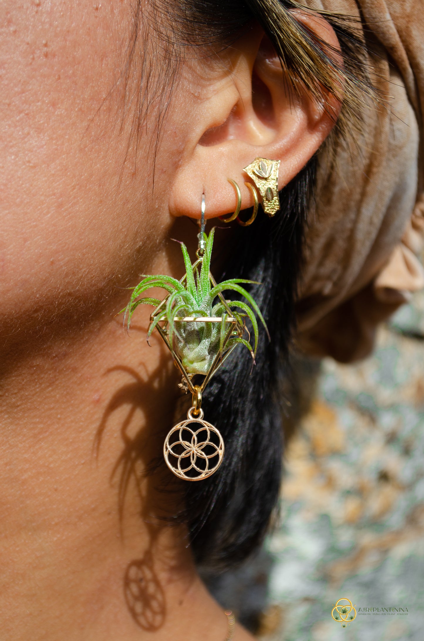 Minimalist Flower of Life Crystal Pearl Air Plant Earrings ~ Diamond Octahedron Earrings