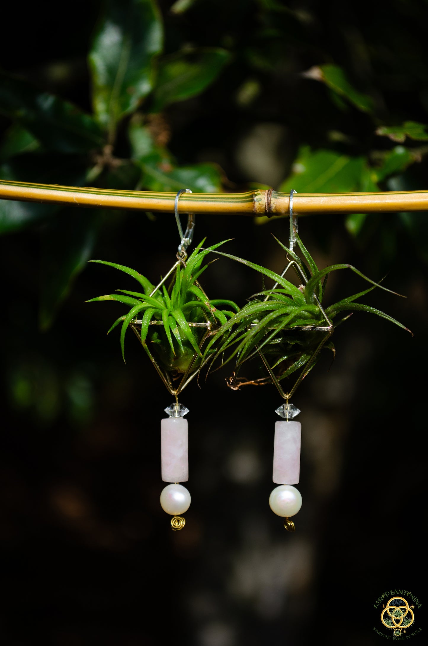 Rose Quartz Air Plant Earrings ~ Diamond Octahedron Earrings