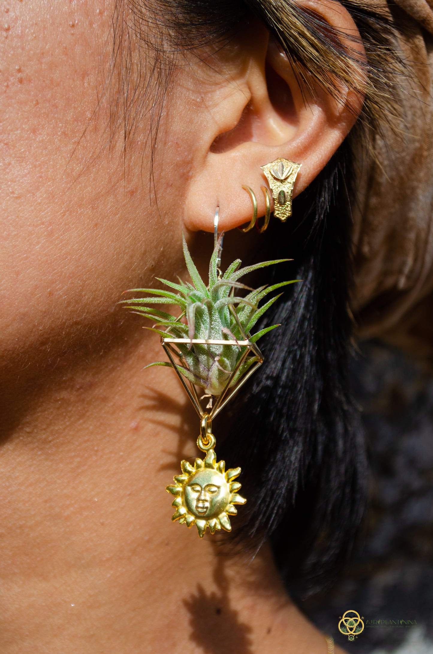 Golden Sun Charm Air Plant Clip Earrings ~ Diamond Octahedron Earrings