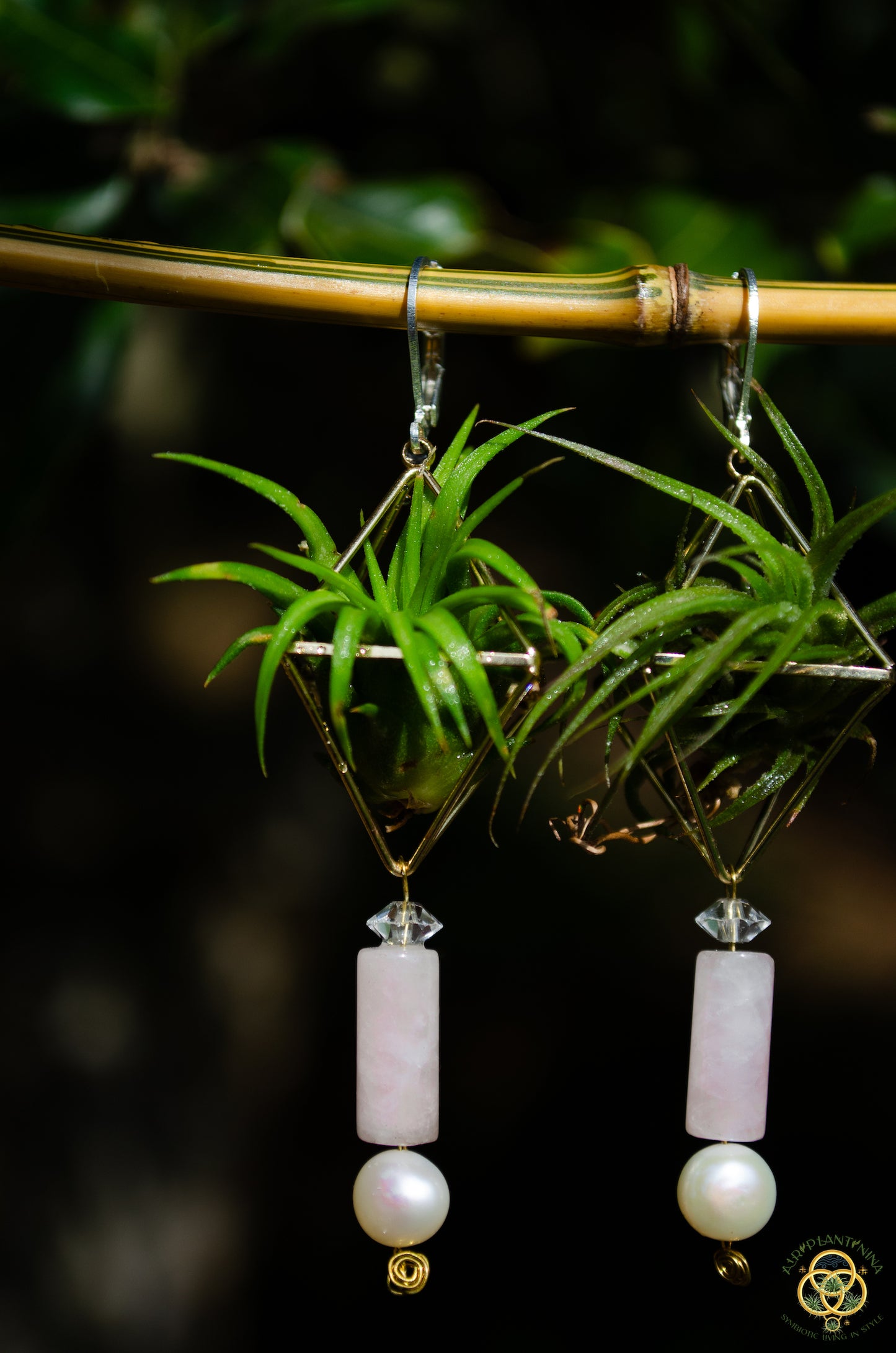 Rose Quartz Air Plant Earrings ~ Diamond Octahedron Earrings
