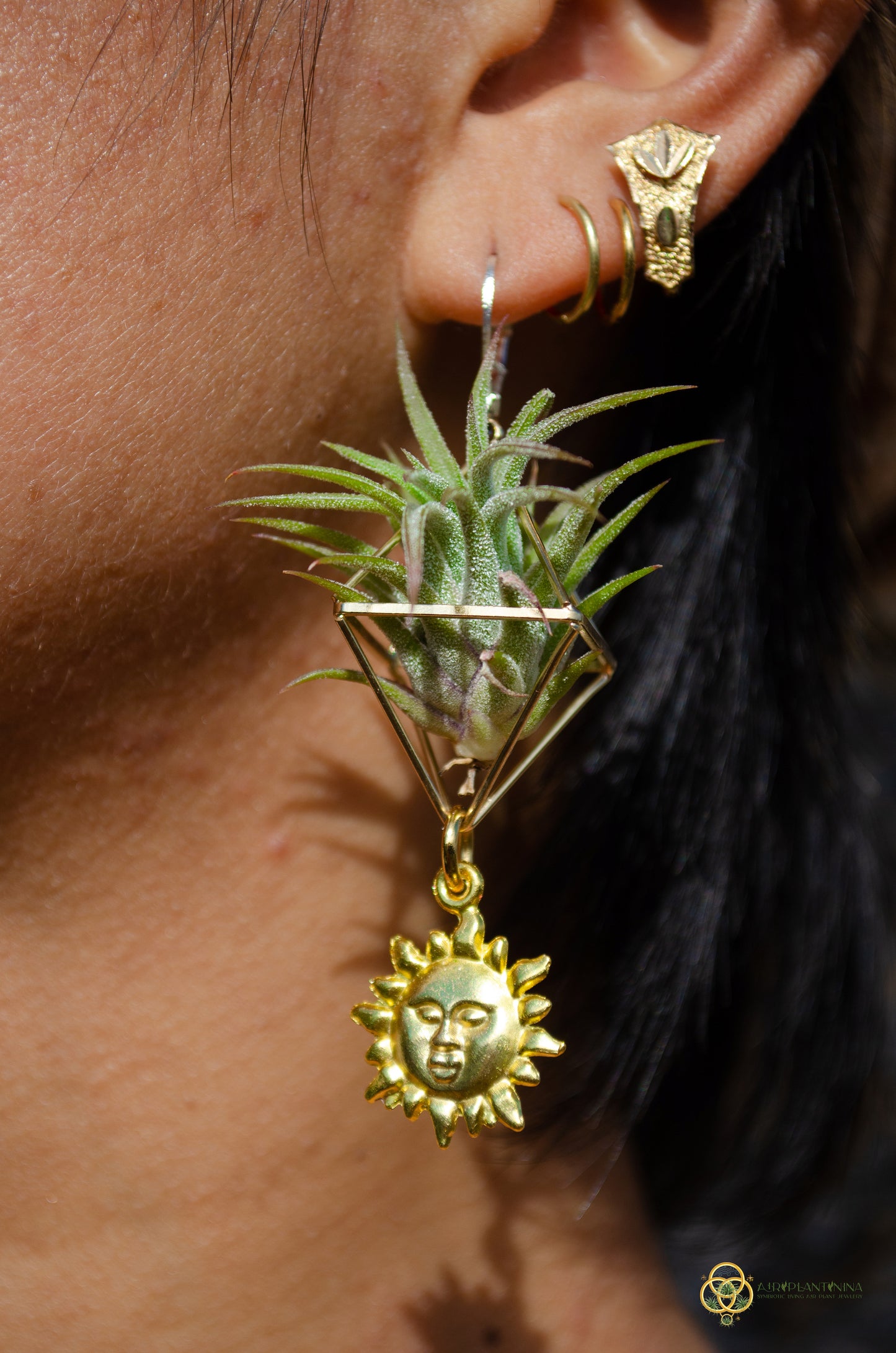 Golden Sun Charm Air Plant Clip Earrings ~ Diamond Octahedron Earrings