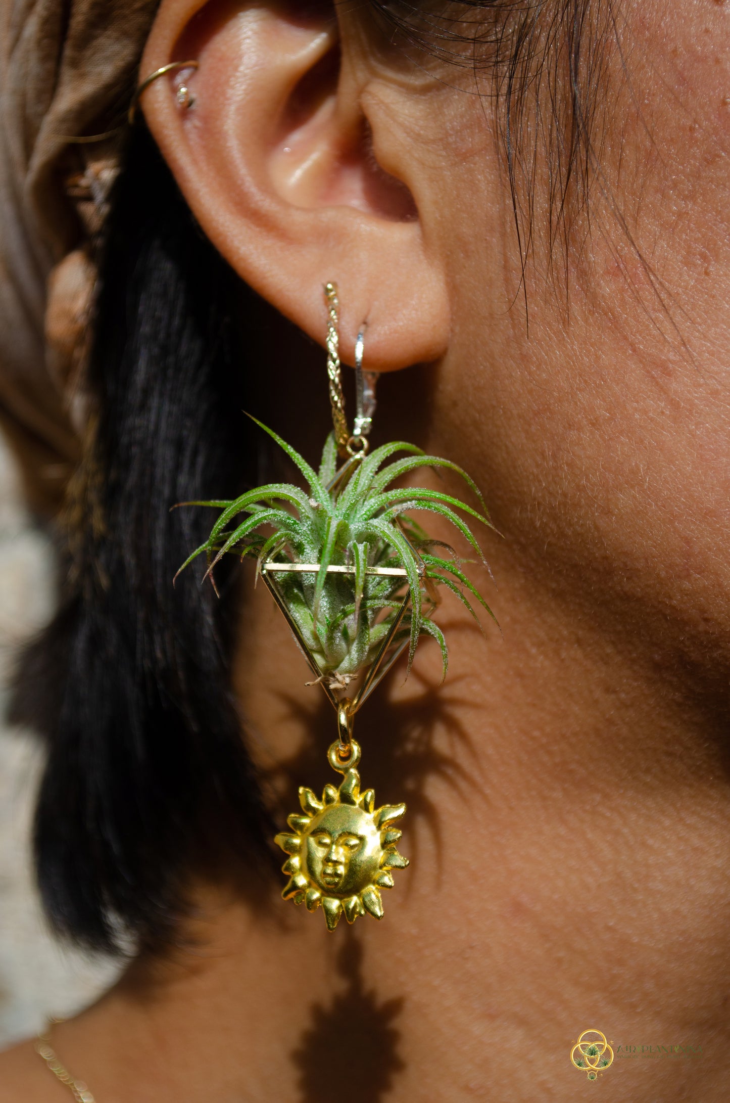 Golden Sun Charm Air Plant Clip Earrings ~ Diamond Octahedron Earrings