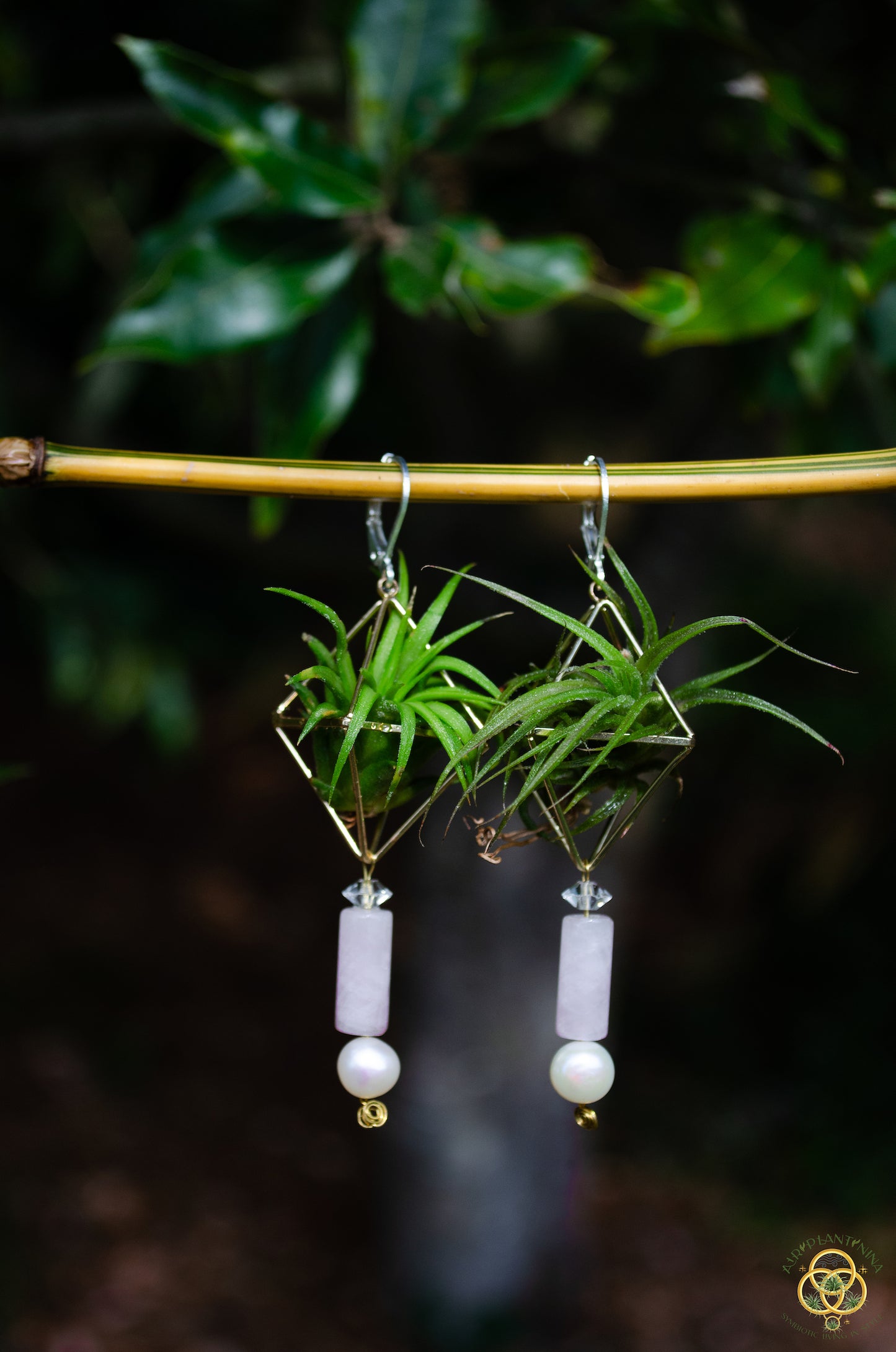 Rose Quartz Air Plant Earrings ~ Diamond Octahedron Earrings