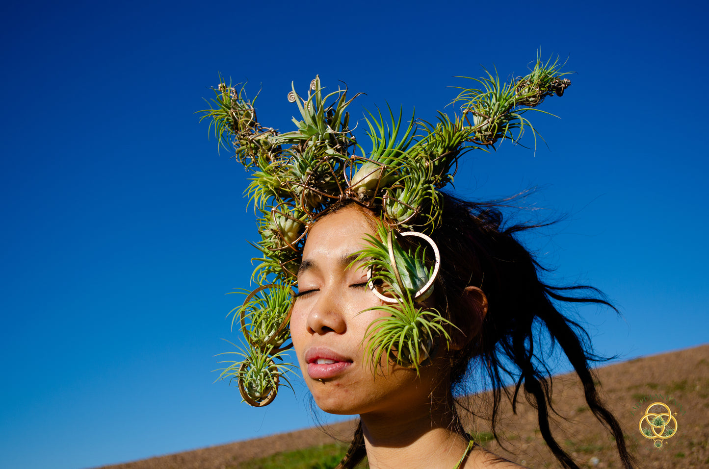 Air Plant Crown, Alien Air-lien Plant Double Antenna Crown