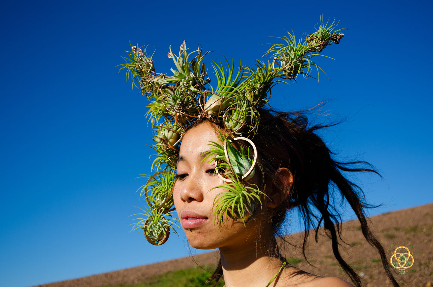 Air Plant Crown, Alien Air-lien Plant Double Antenna Crown