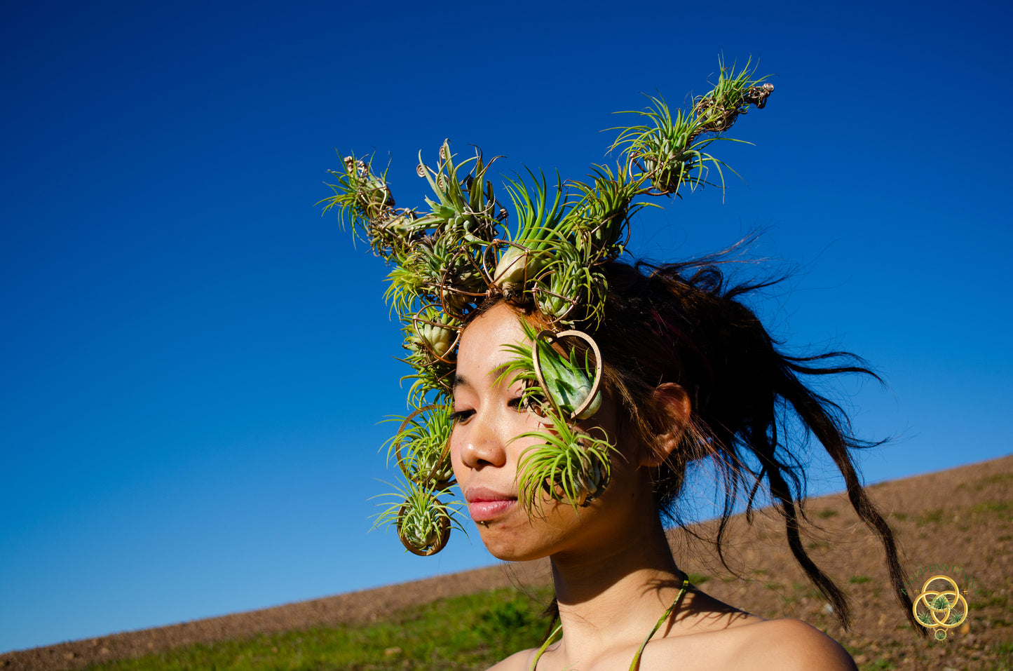 Air Plant Crown, Alien Air-lien Plant Double Antenna Crown