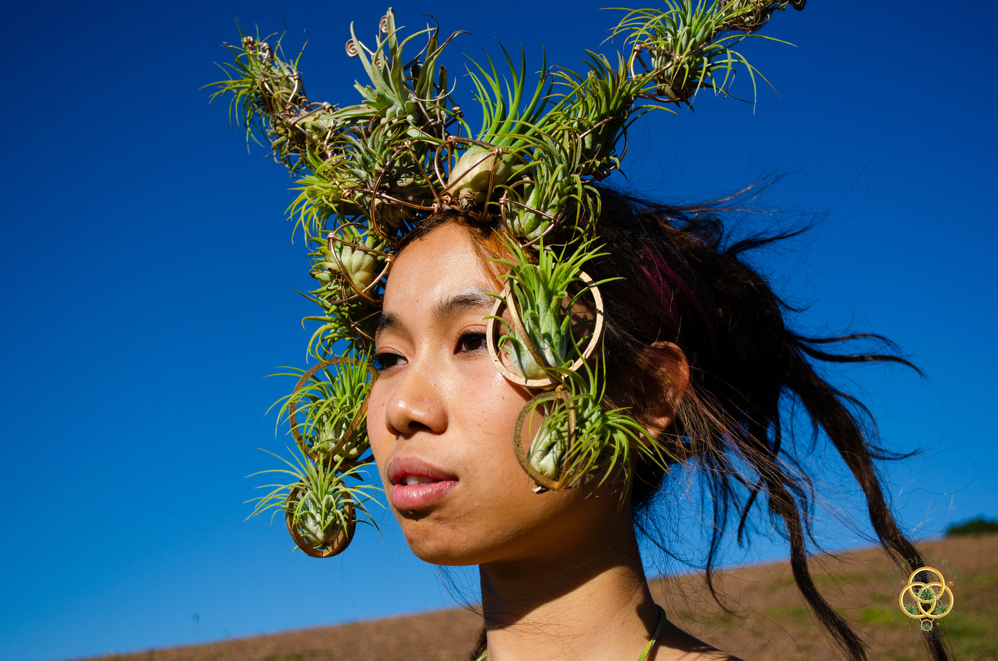 Air Plant Crown, Alien Air-lien Plant Double Antenna Crown