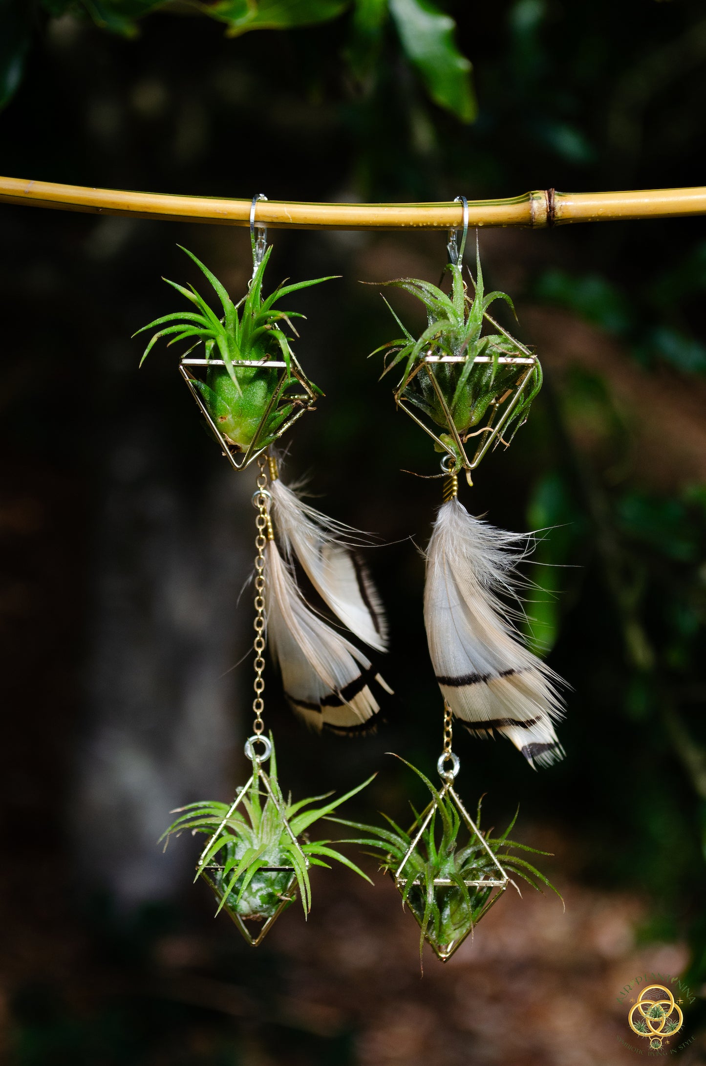Double Dangle Air Plant Earrings ~ Diamond Octahedron Earrings