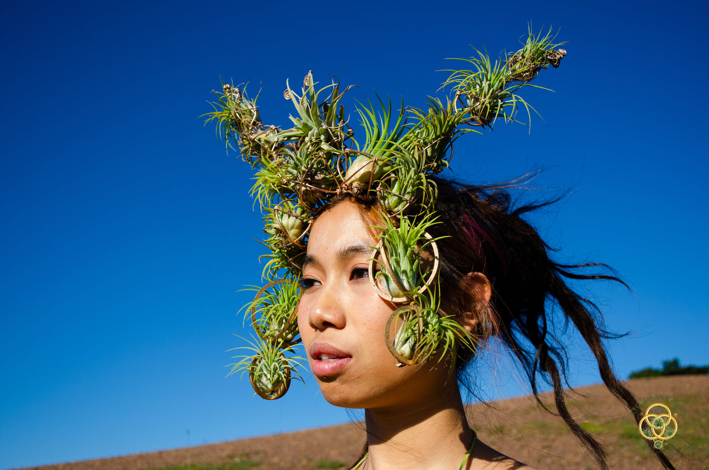 Air Plant Crown, Alien Air-lien Plant Double Antenna Crown