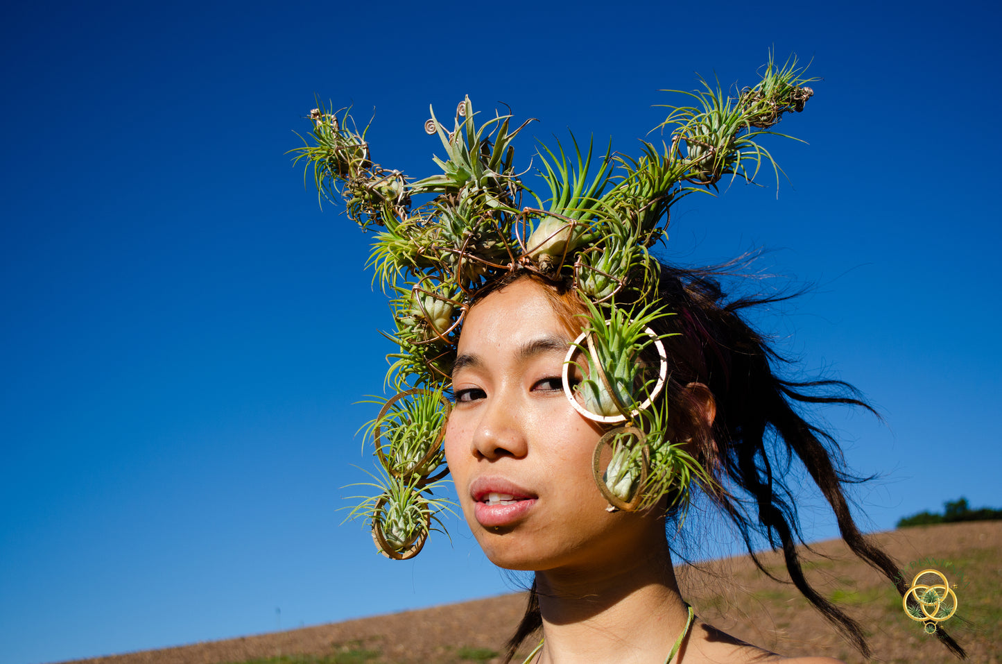 Air Plant Crown, Alien Air-lien Plant Double Antenna Crown