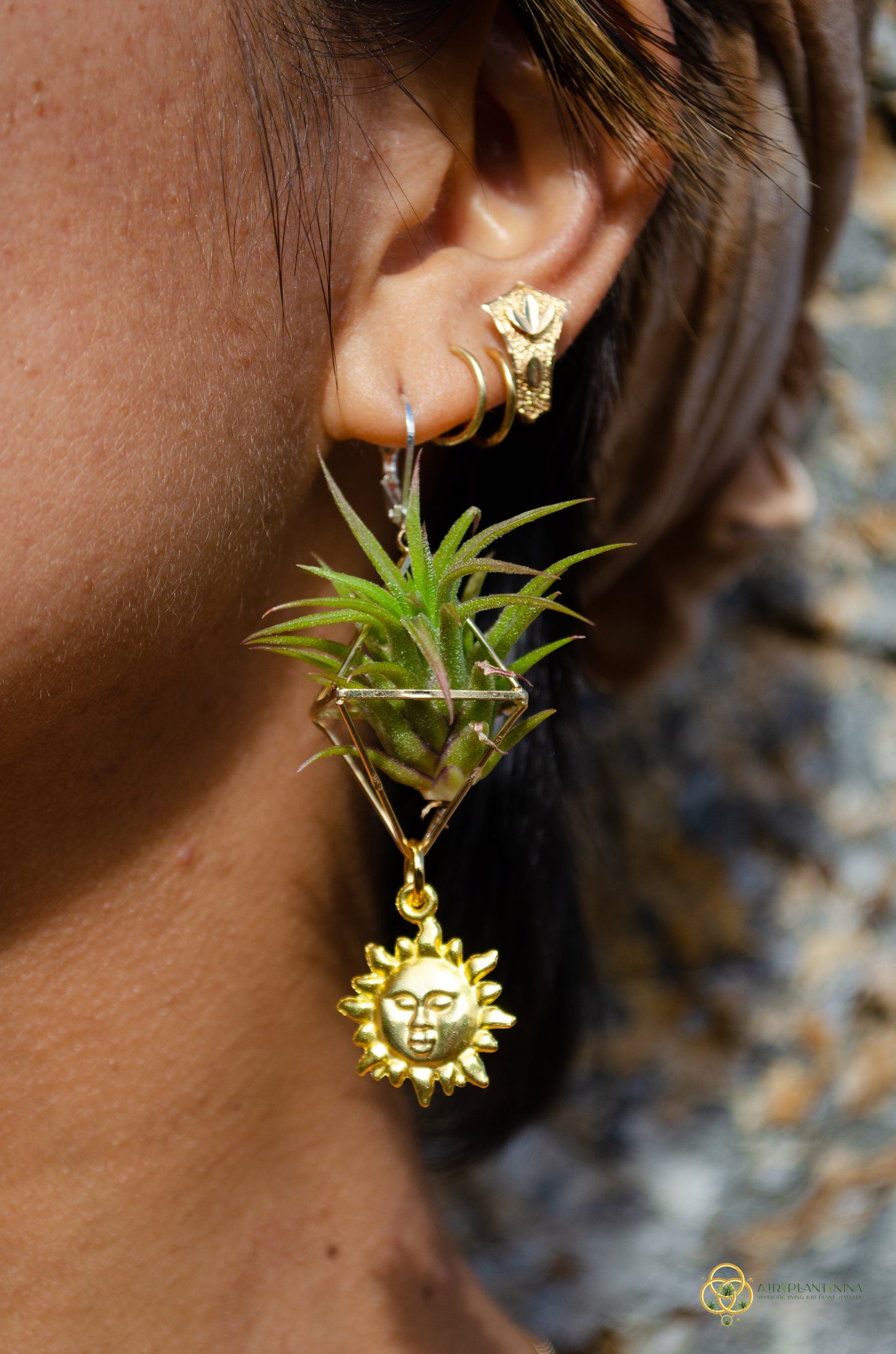 Golden Sun Charm Air Plant Clip Earrings ~ Diamond Octahedron Earrings