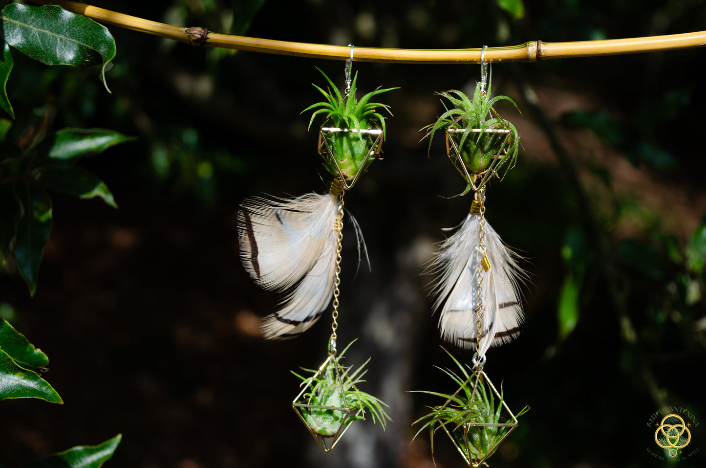 Double Dangle Air Plant Earrings ~ Diamond Octahedron Earrings