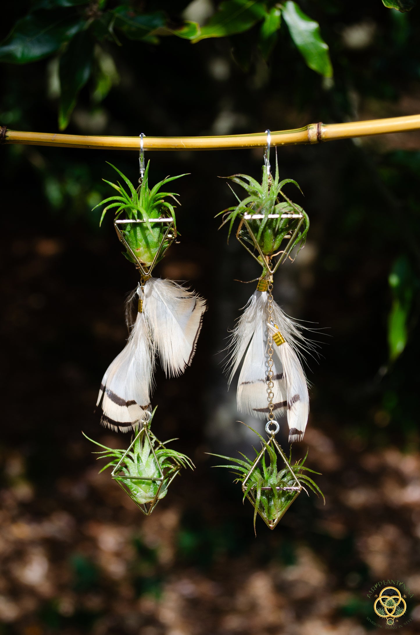 Double Dangle Air Plant Earrings ~ Diamond Octahedron Earrings