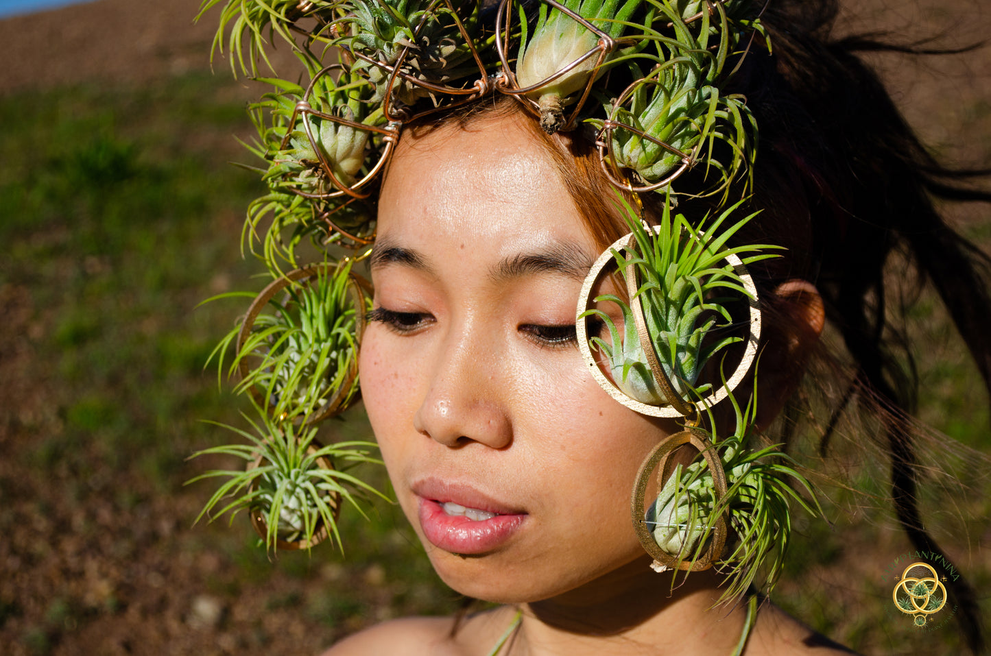 Air Plant Crown, Alien Air-lien Plant Double Antenna Crown
