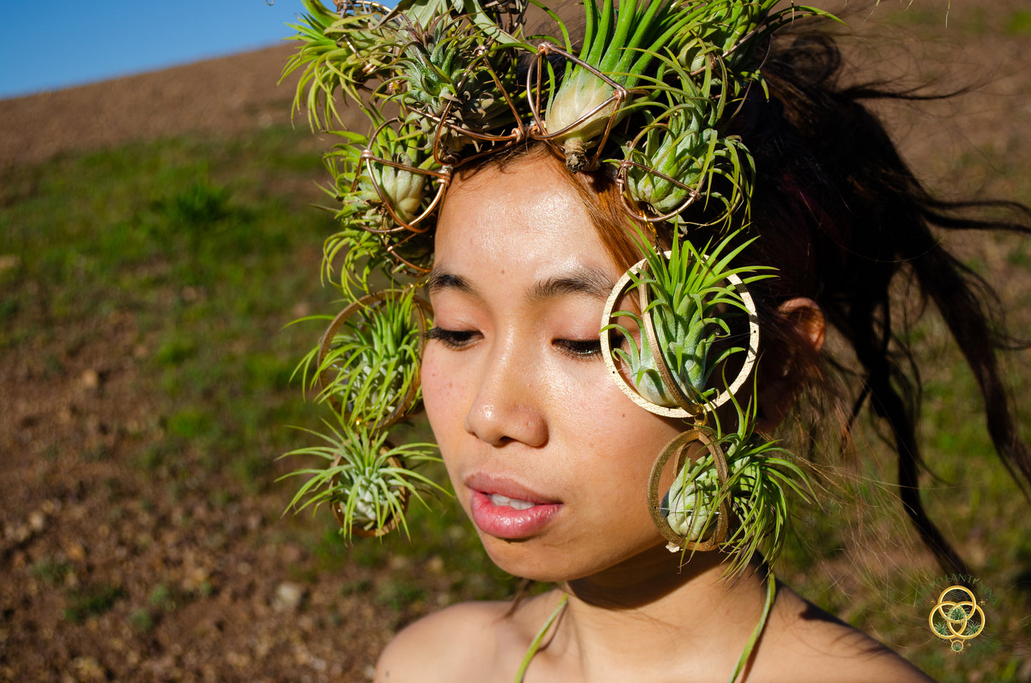 Air Plant Crown, Alien Air-lien Plant Double Antenna Crown