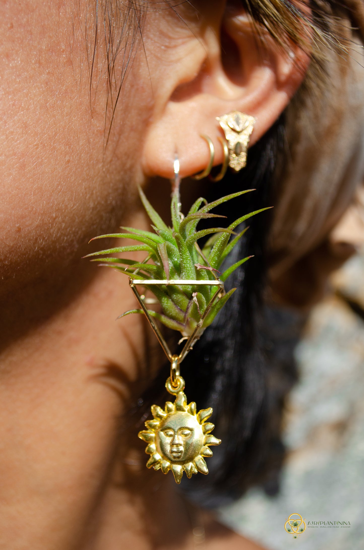 Golden Sun Charm Air Plant Clip Earrings ~ Diamond Octahedron Earrings