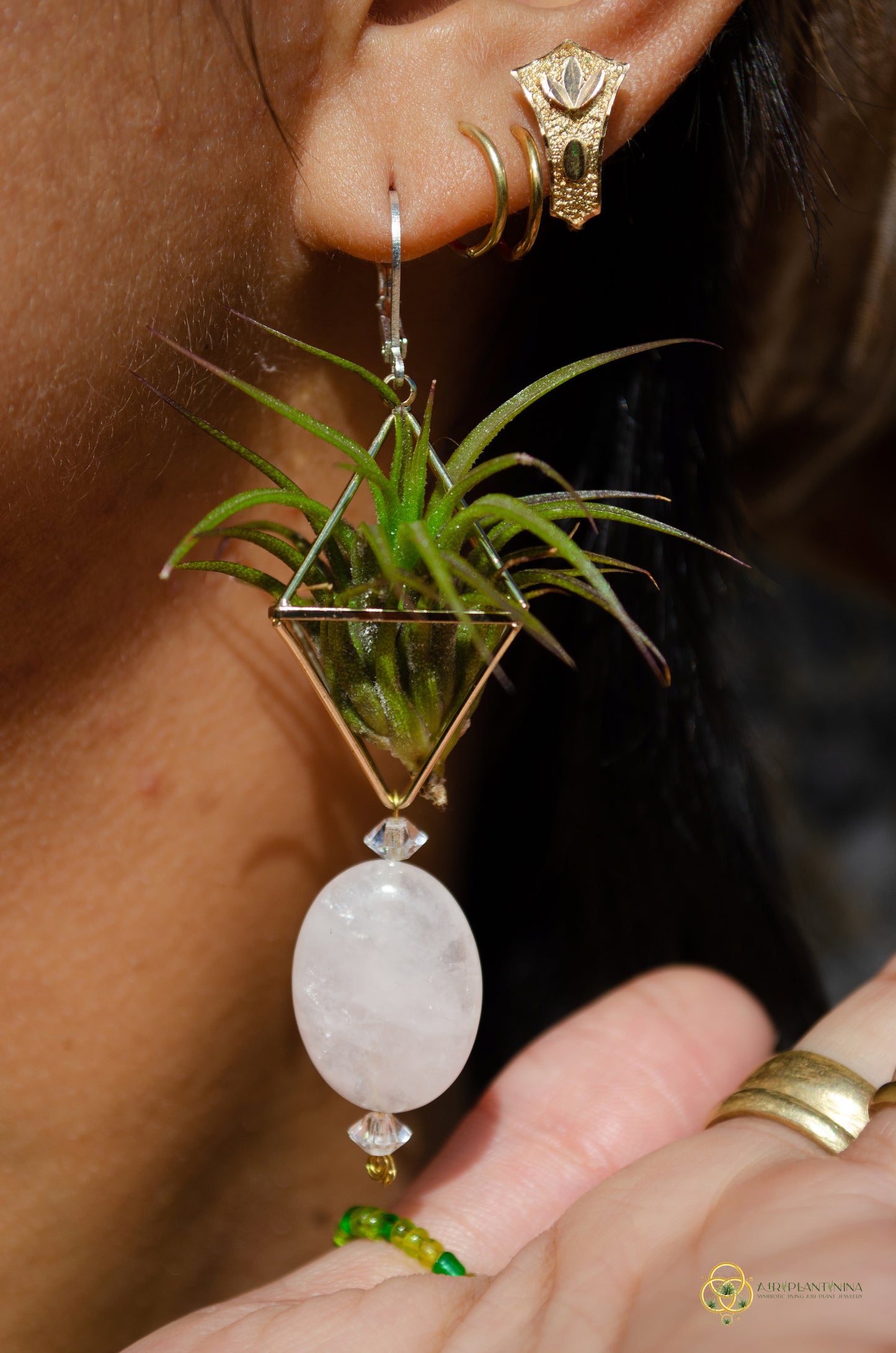 Rose Quartz Air Plant Earrings ~ Diamond Octahedron Earrings