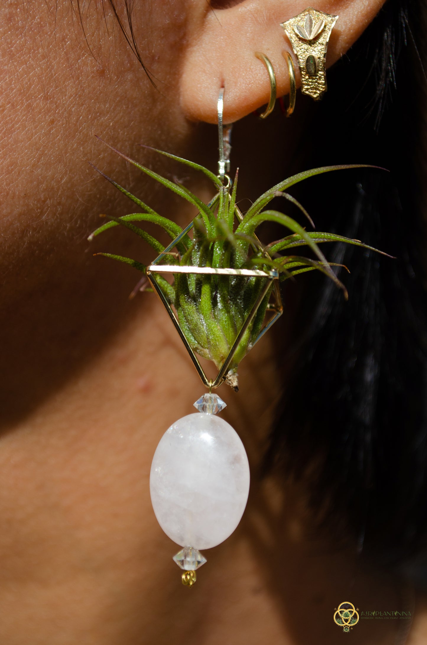 Rose Quartz Air Plant Earrings ~ Diamond Octahedron Earrings