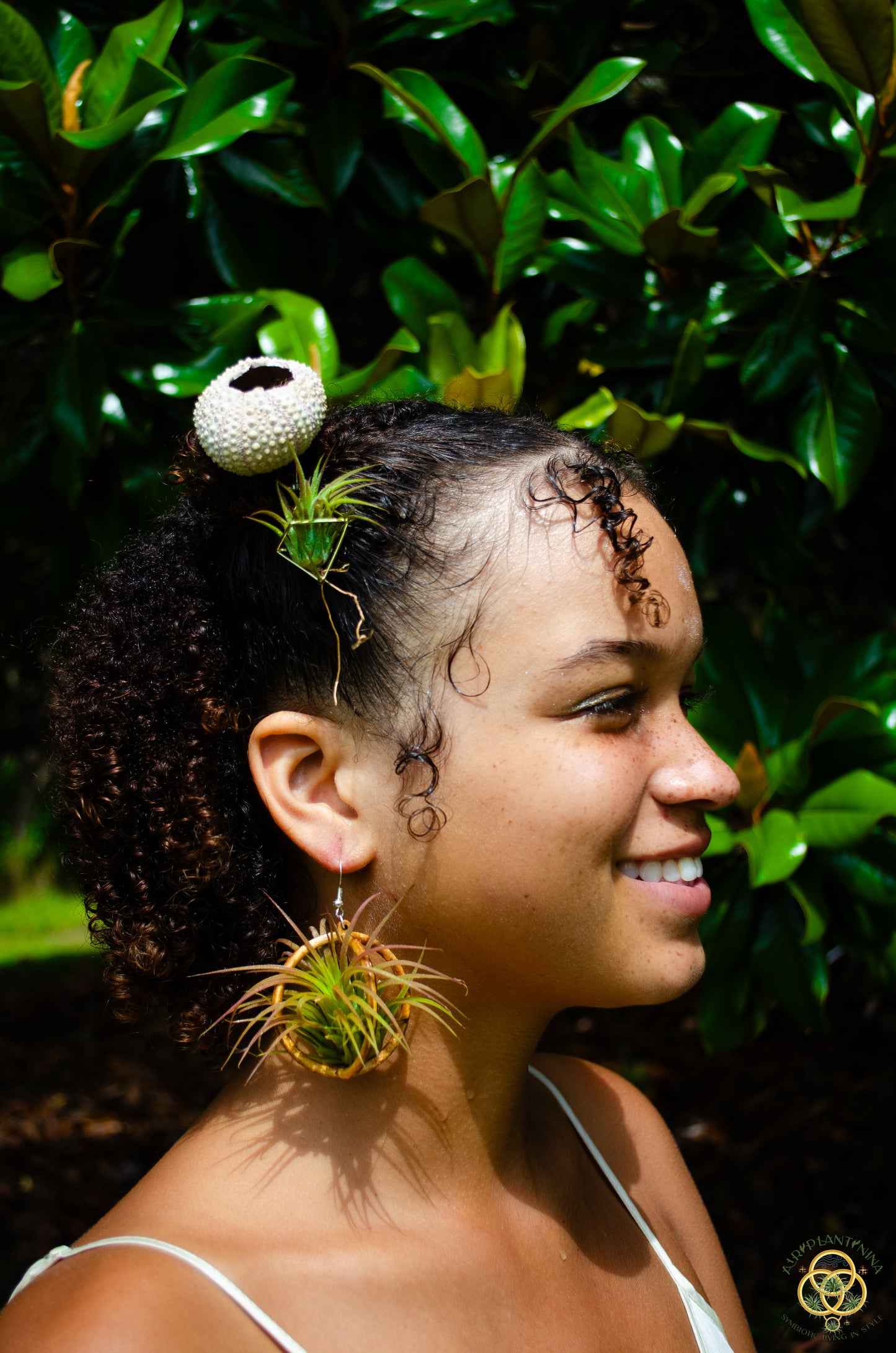 Lasercut Wooden Air Plant Orb Earrings ~ Japanese Tsugite Technique