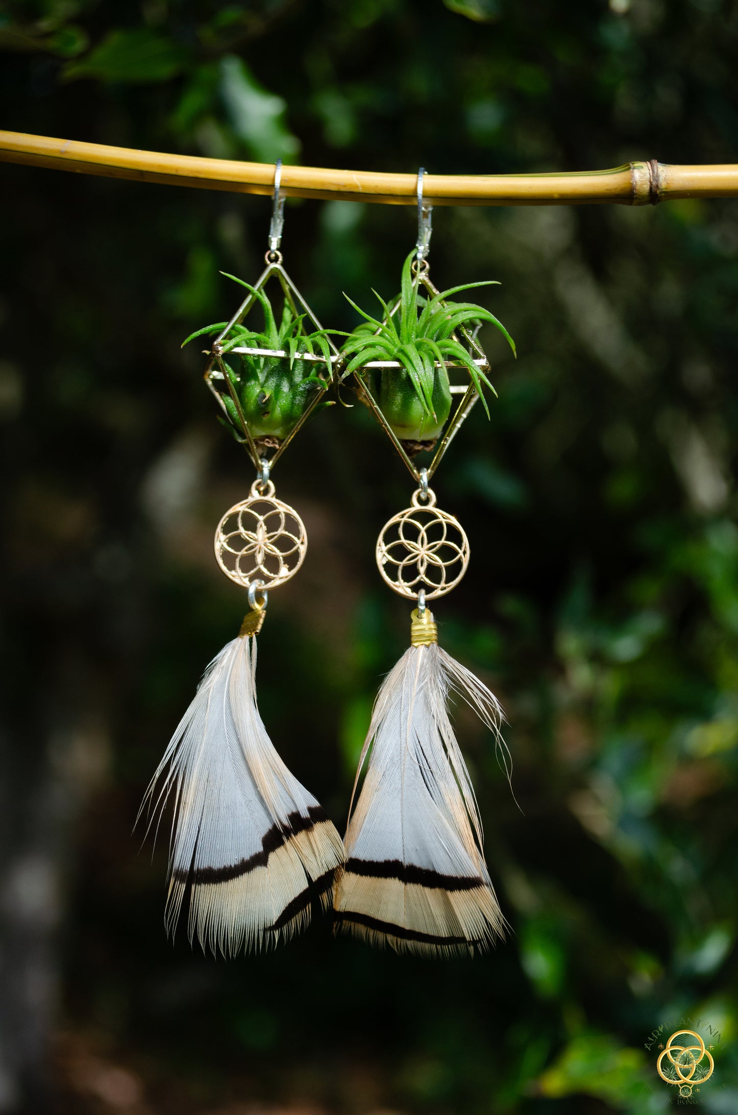 Minimalist Flower of Life Crystal Pearl Air Plant Earrings ~ Diamond Octahedron Earrings