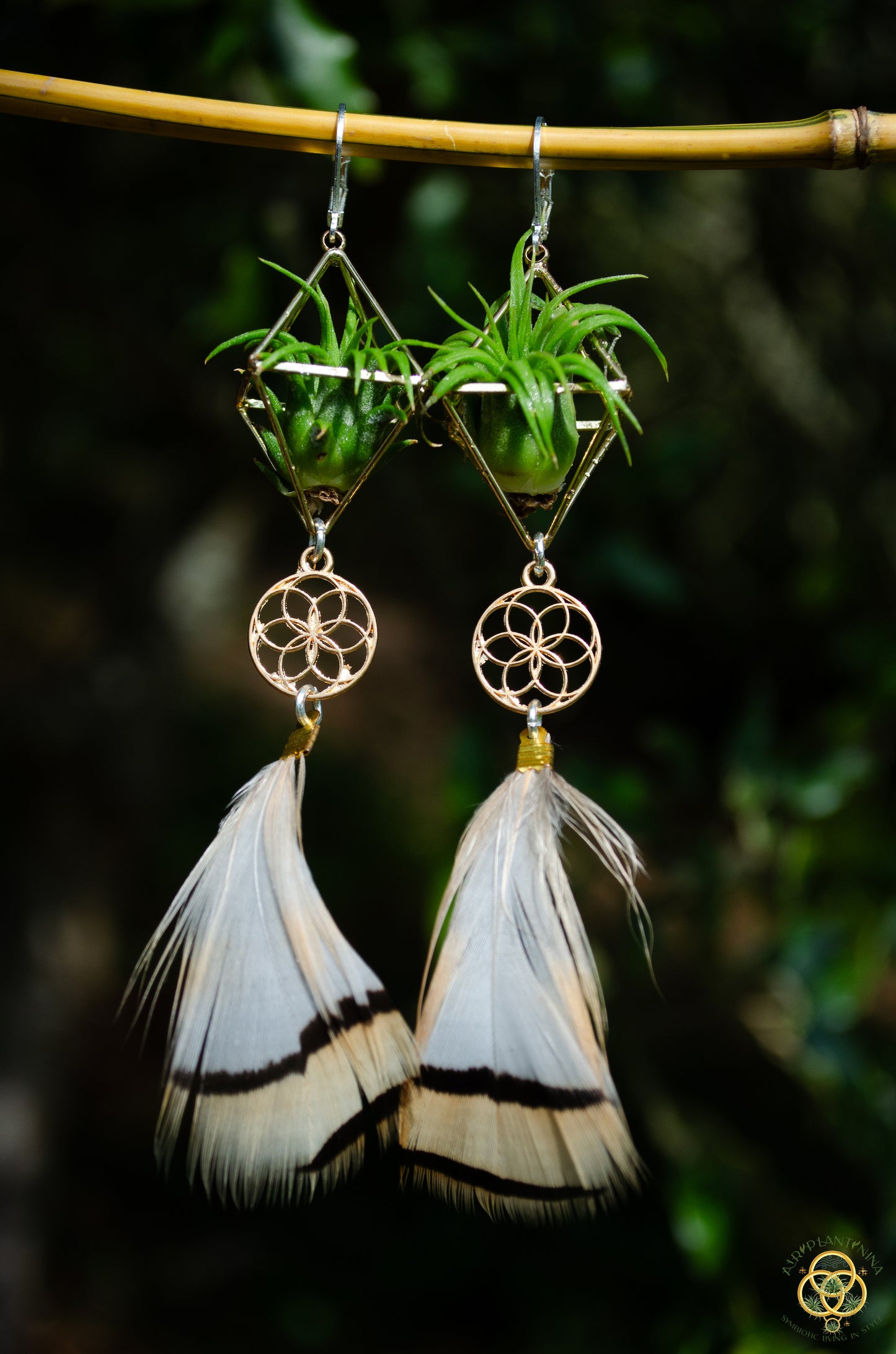 Minimalist Flower of Life Crystal Pearl Air Plant Earrings ~ Diamond Octahedron Earrings