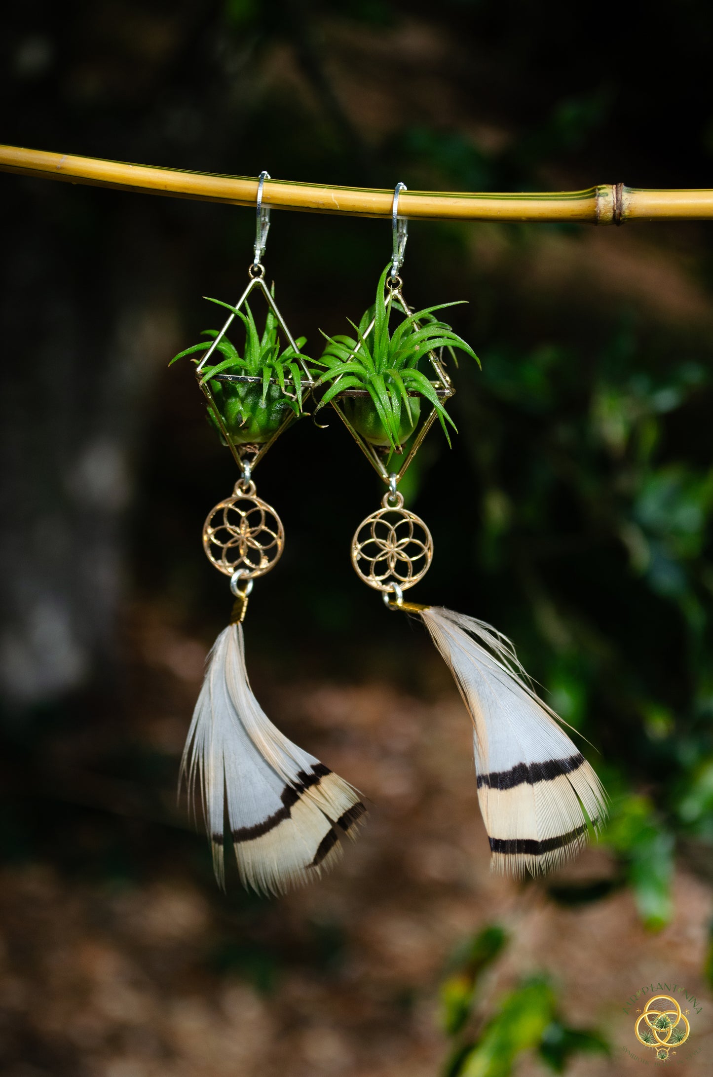 Minimalist Flower of Life Crystal Pearl Air Plant Earrings ~ Diamond Octahedron Earrings