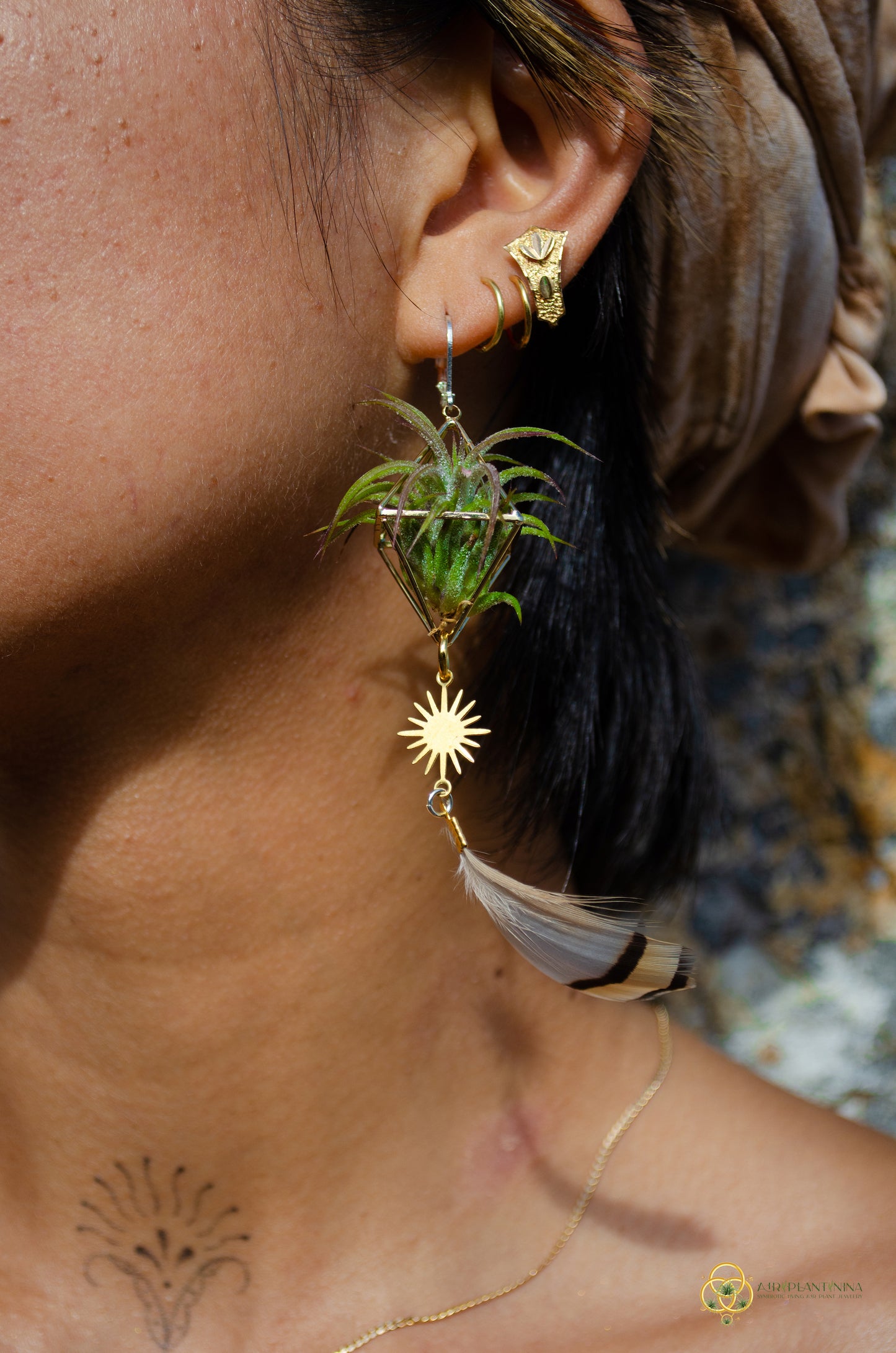 Sun Feather Crystal Air Plant Earrings ~ Diamond Octahedron Earrings