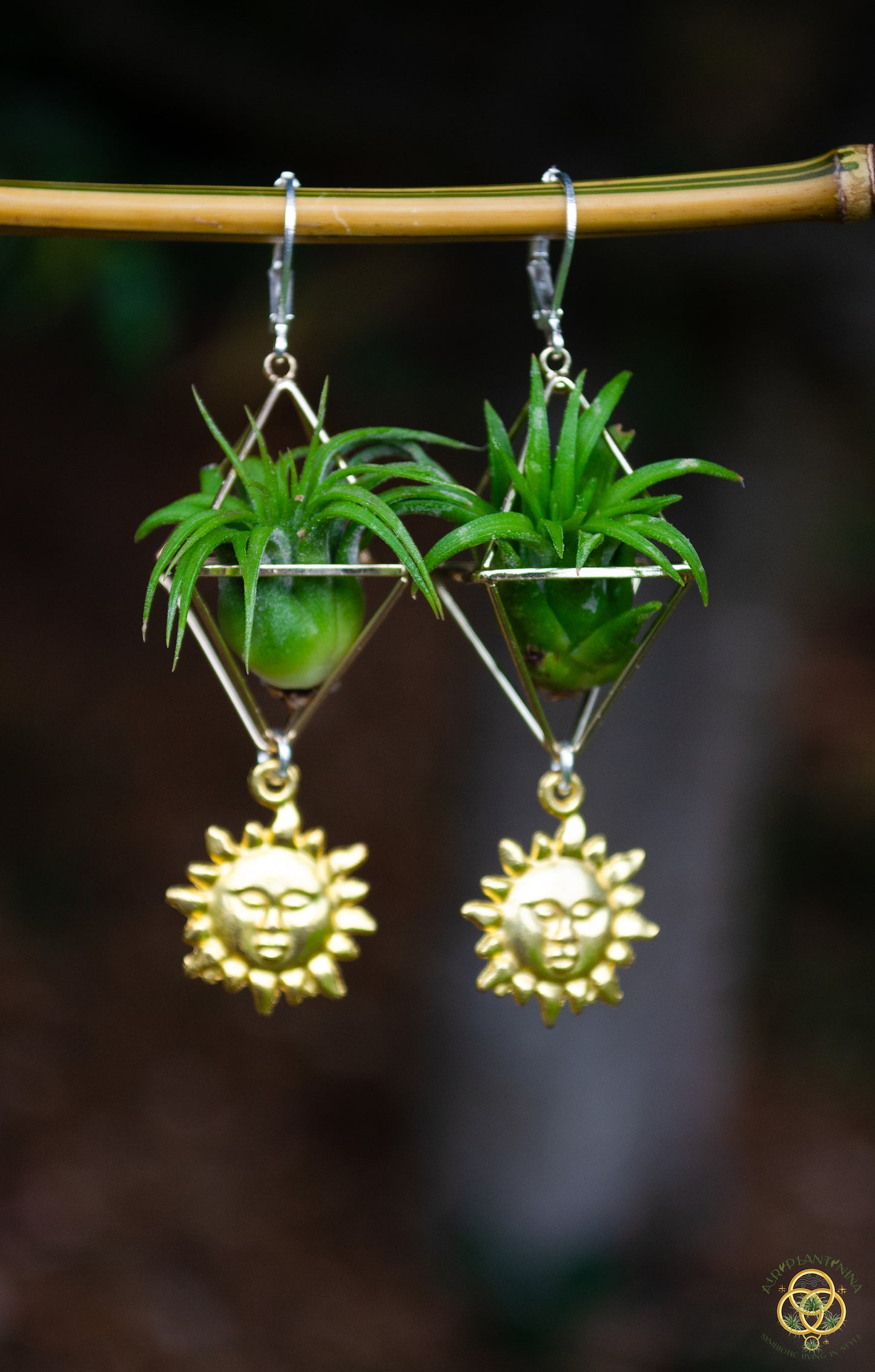 Golden Sun Charm Air Plant Clip Earrings ~ Diamond Octahedron Earrings