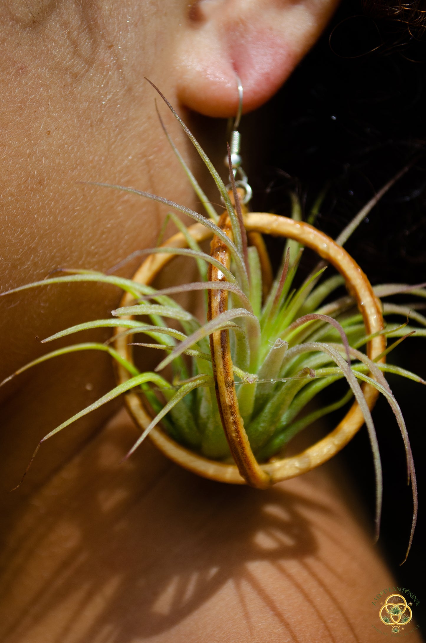 Lasercut Wooden Air Plant Orb Earrings ~ Japanese Tsugite Technique